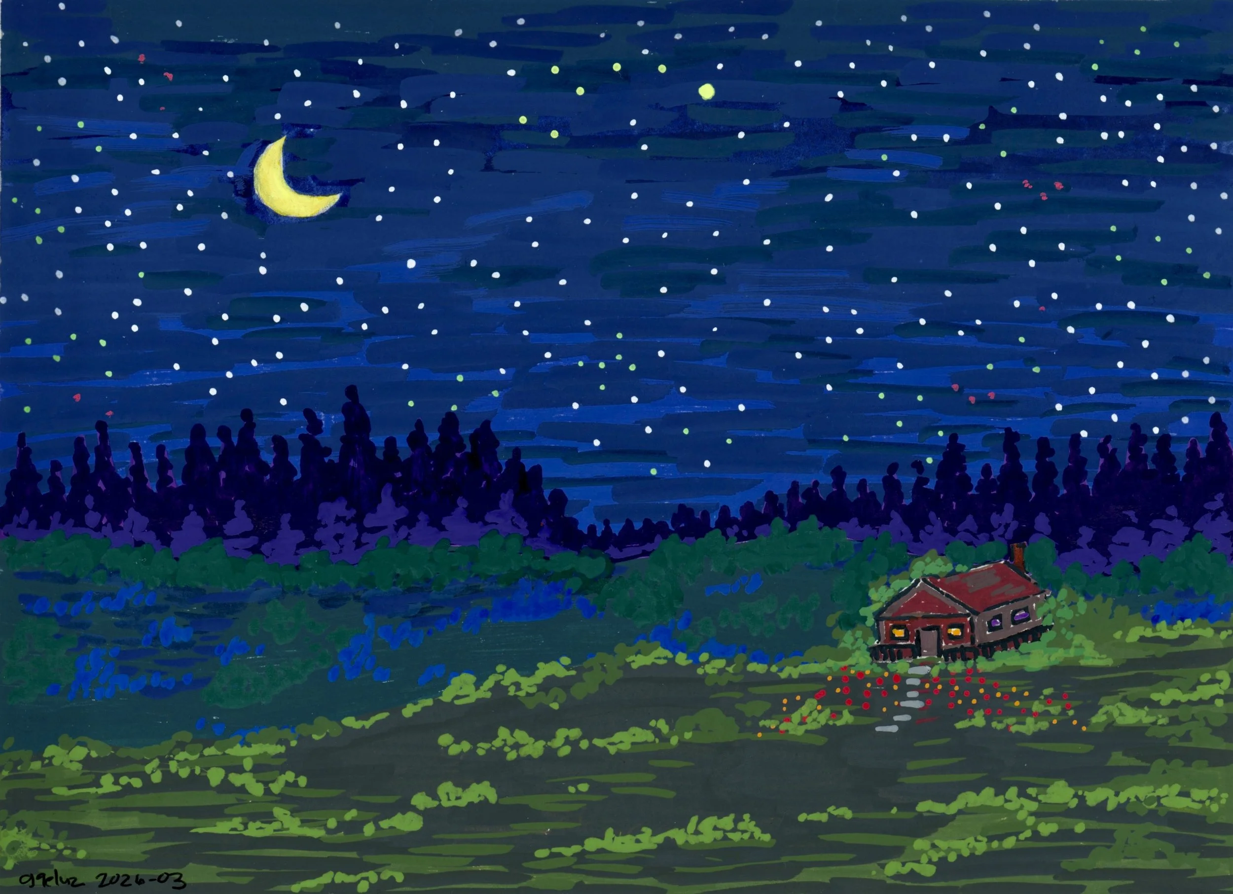 Starry Night 1 2.jpg