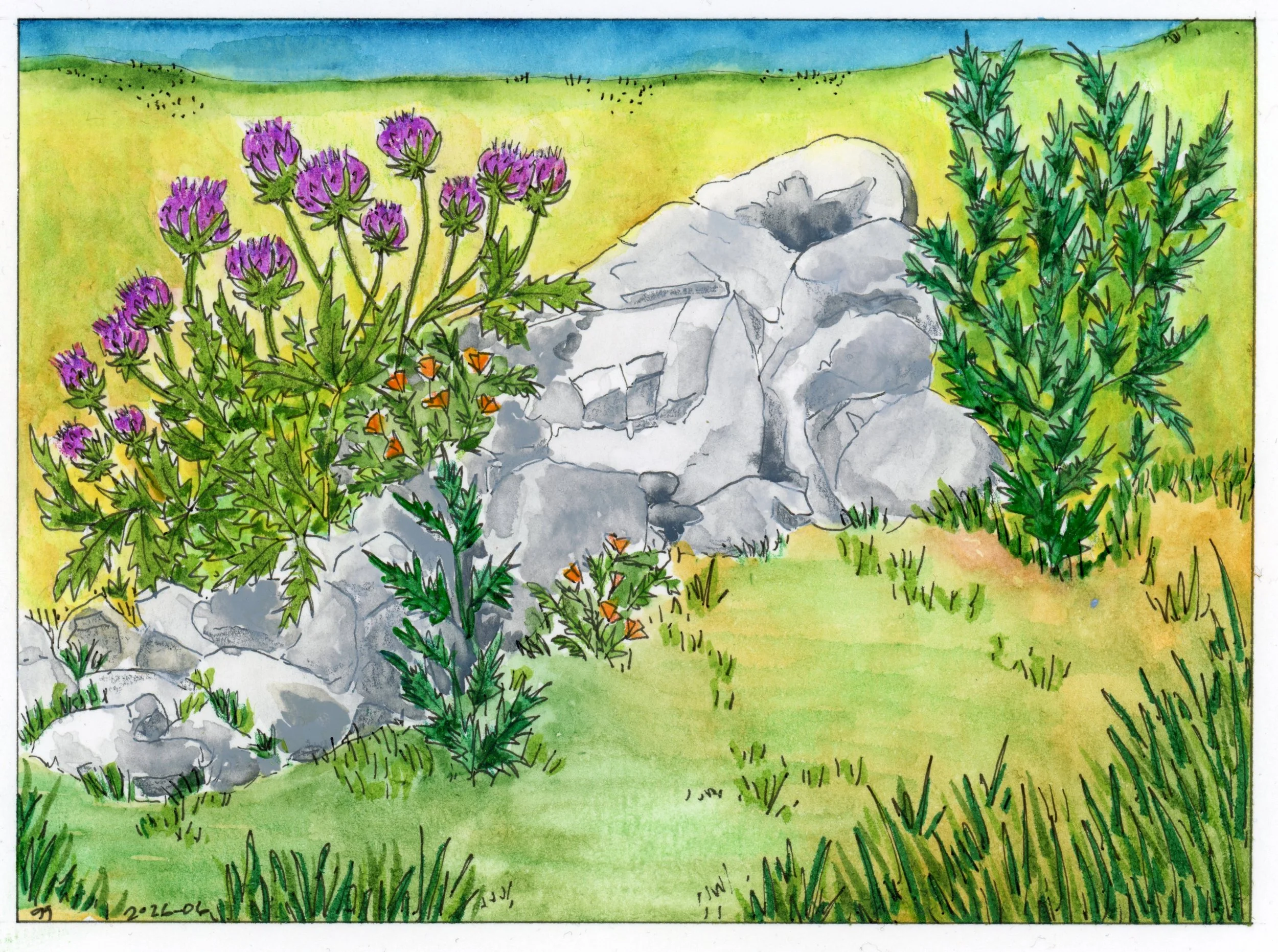 June + July 2026 Projects