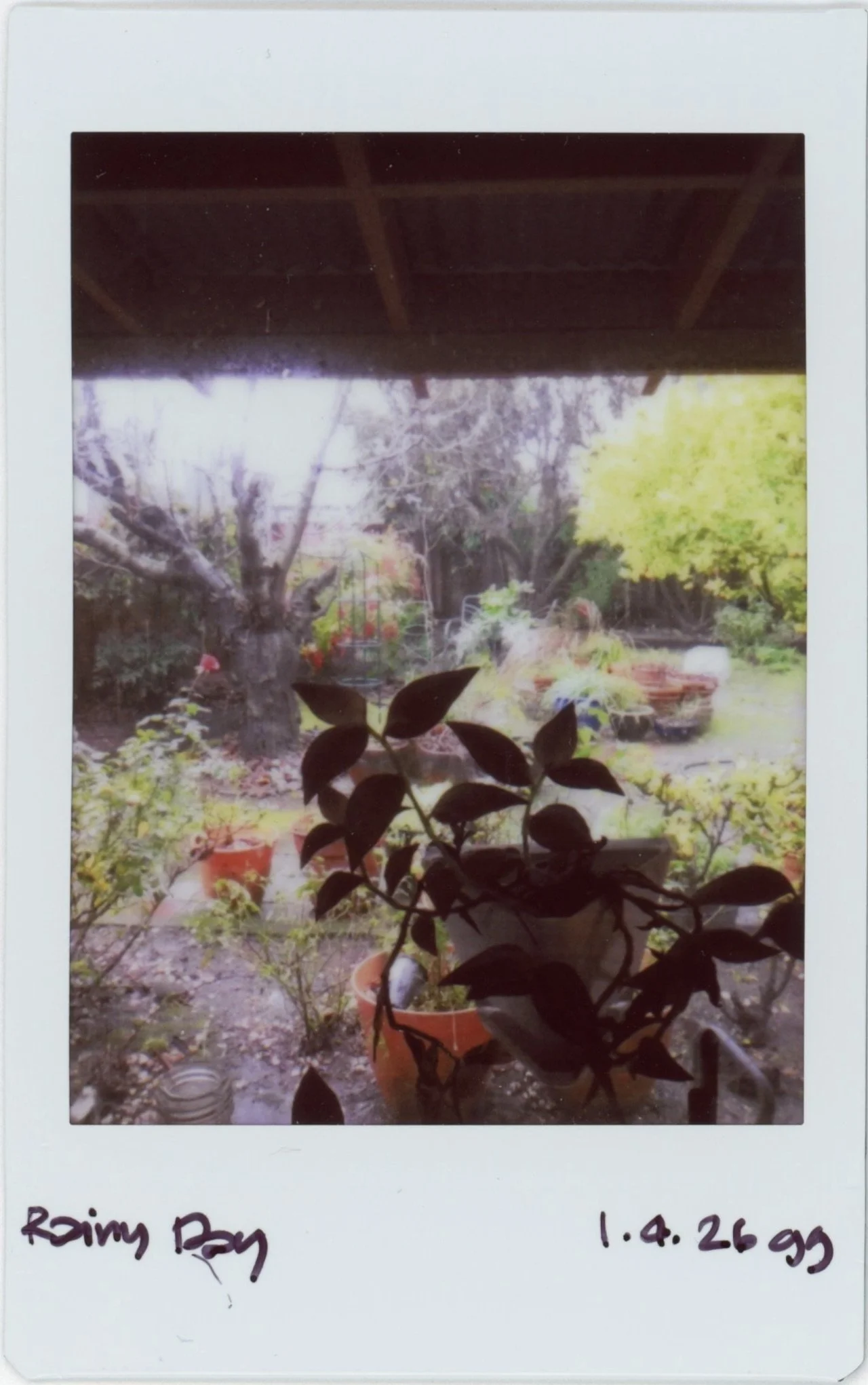 Jan Instax 0104 rainy day.jpg