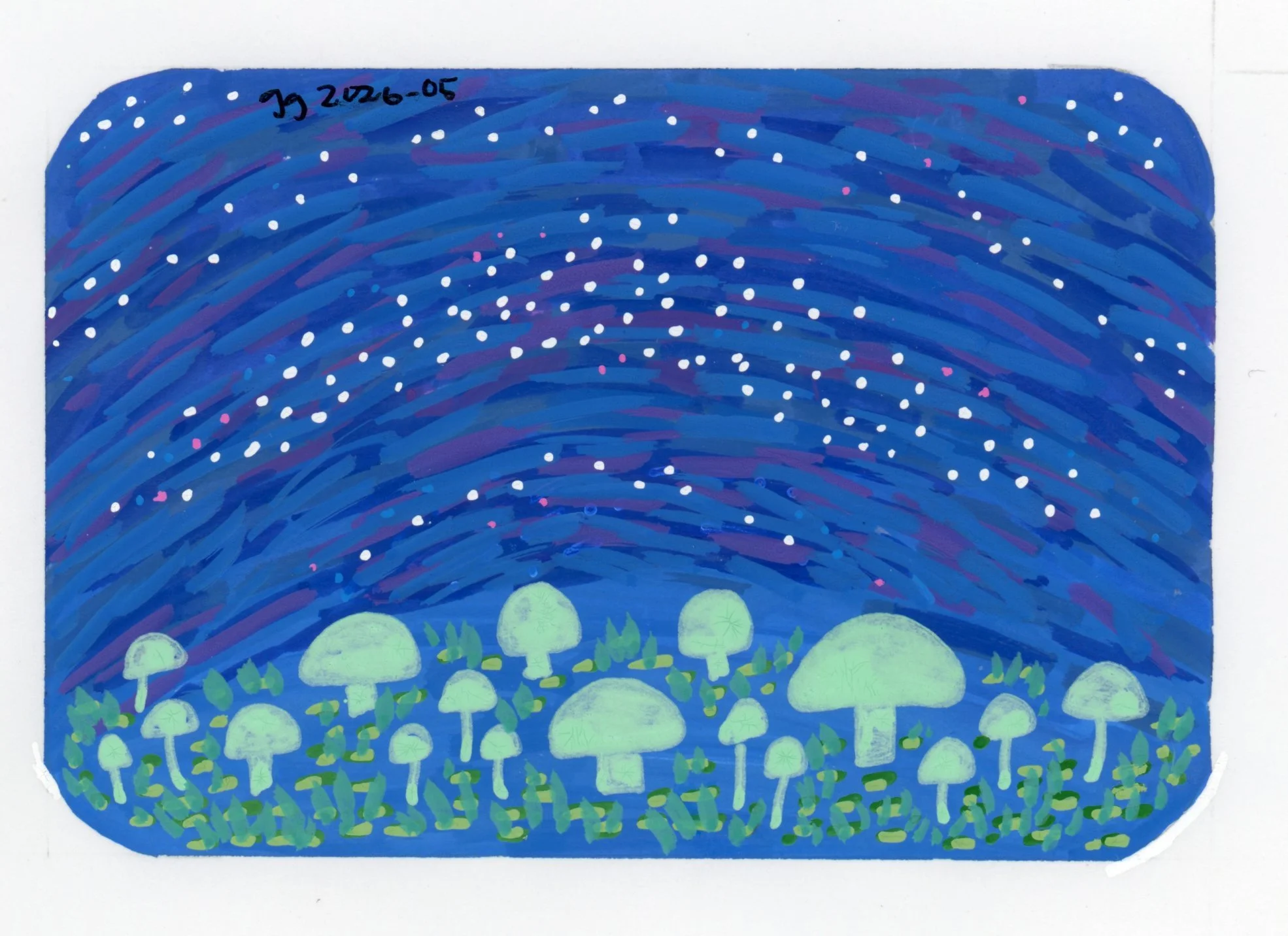 mushroom box02.jpg