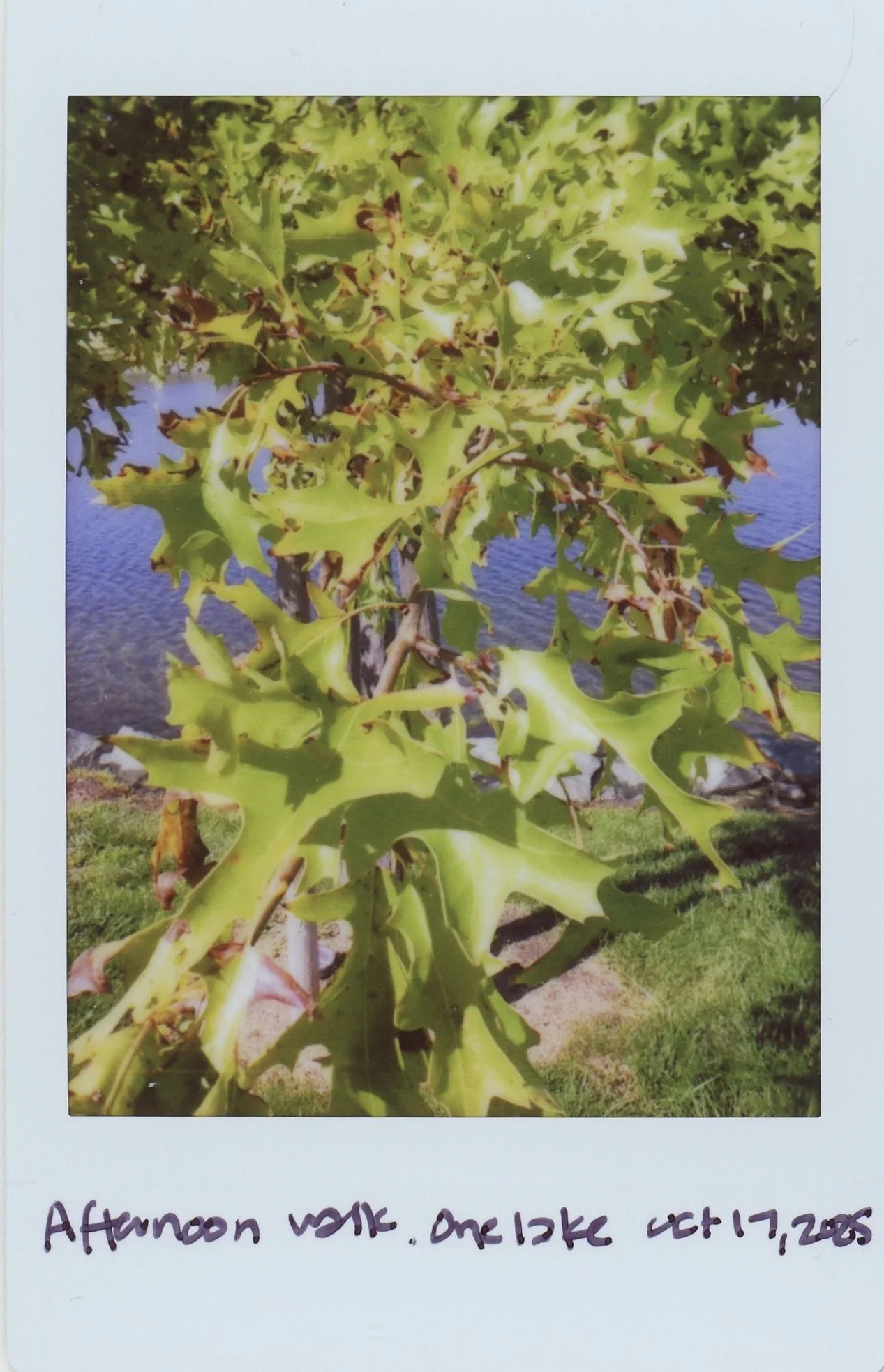 Instax0011 2.jpg