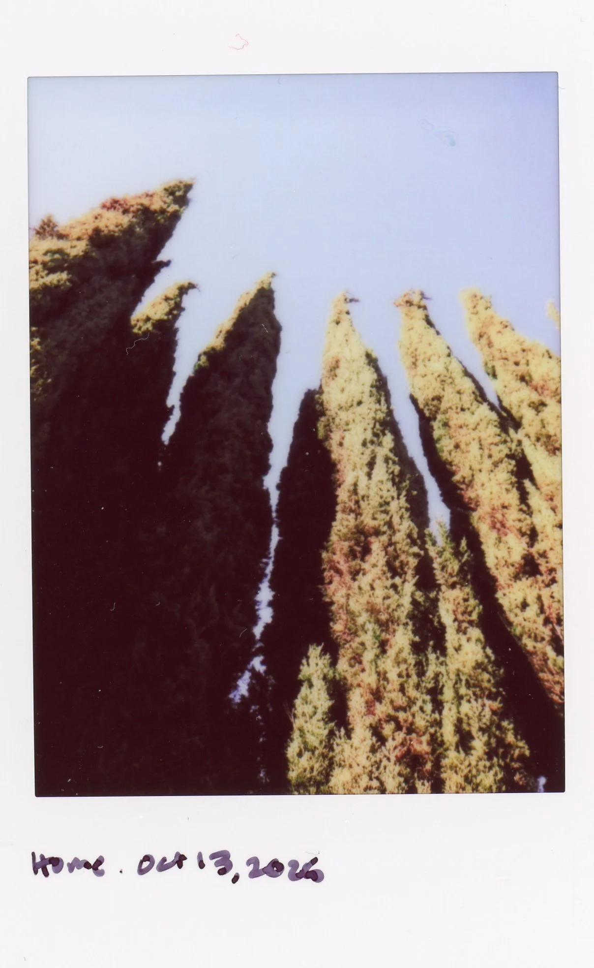 Instax0005.jpg