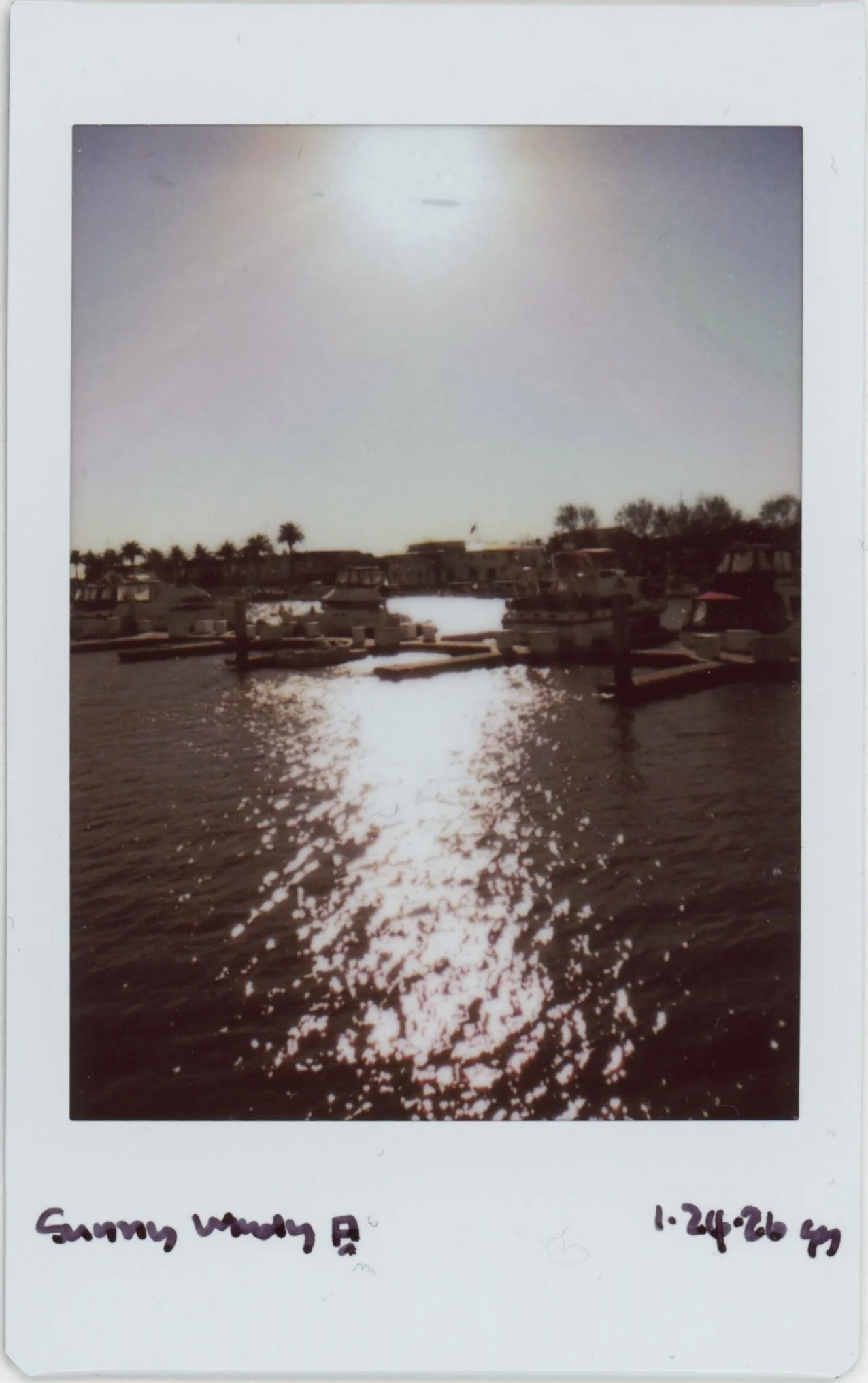 Jan Instax 0124 sunny windy day.jpg