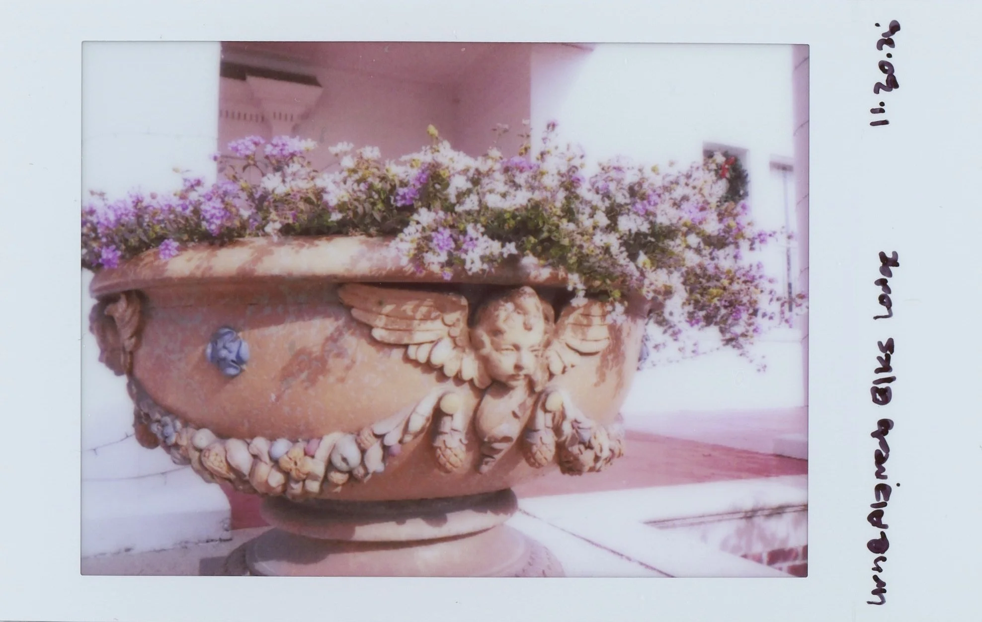 Instax0016 4.jpg