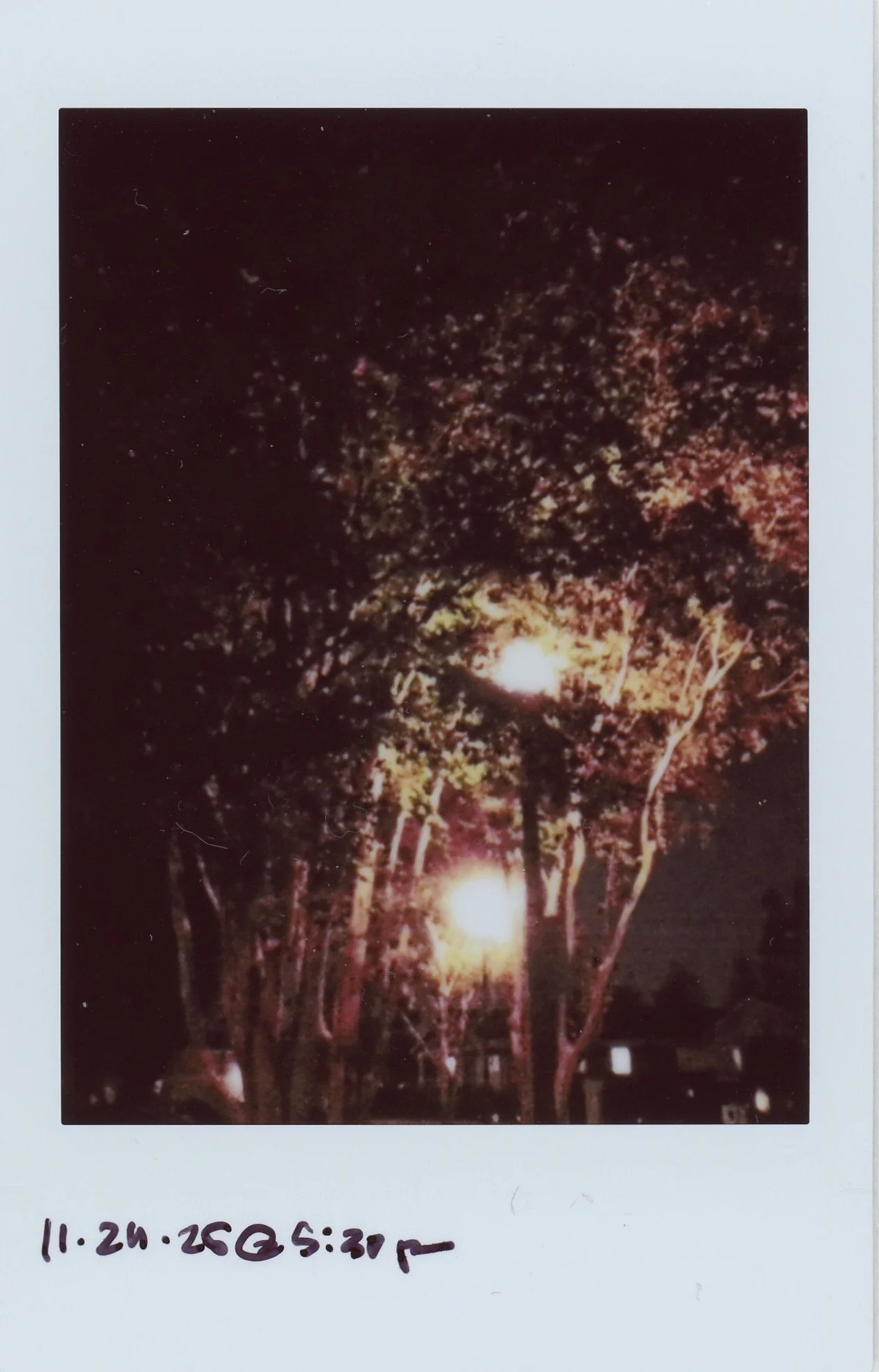 Instax0016 3.jpg