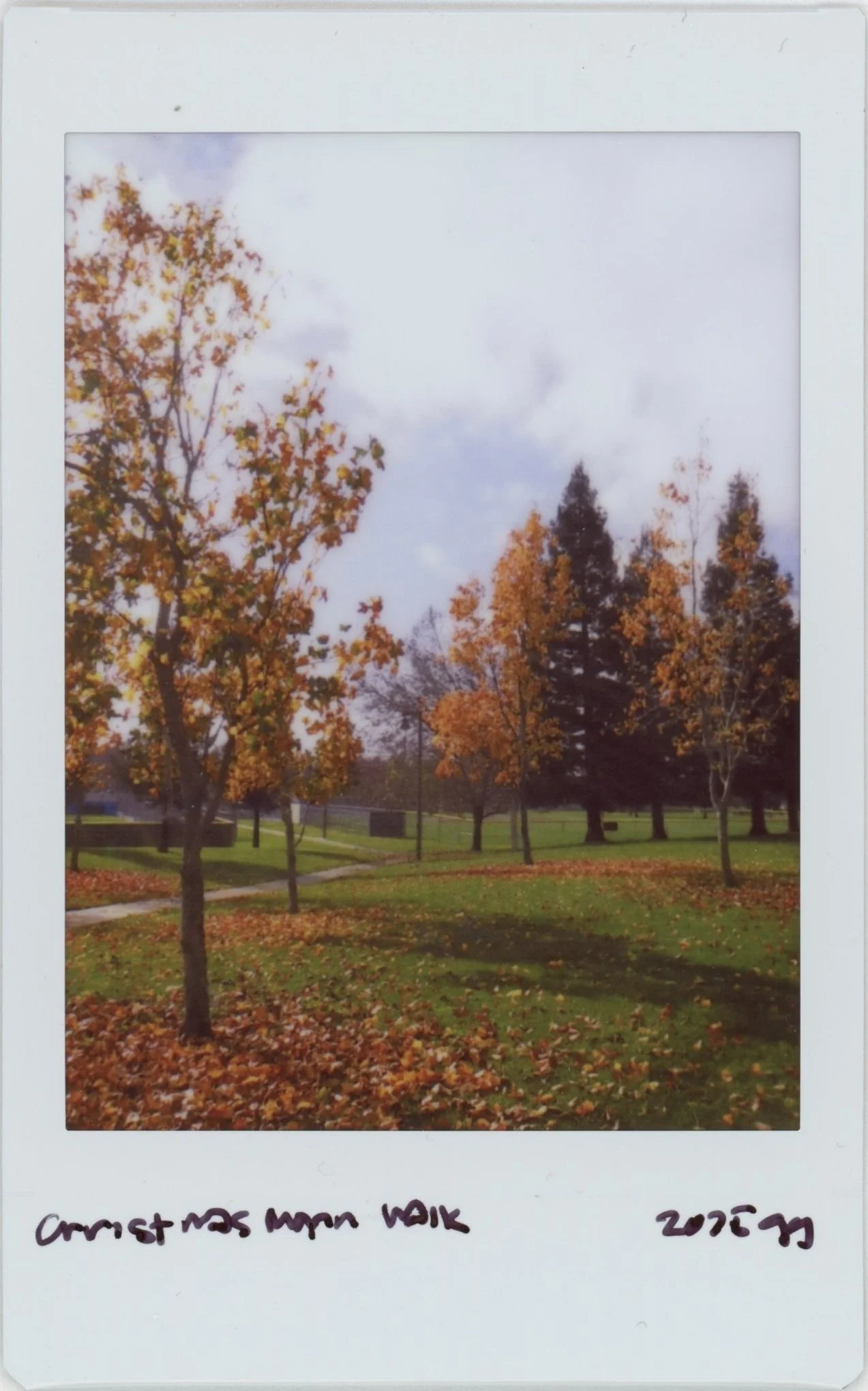 Dec Instax 1225 Park.jpg
