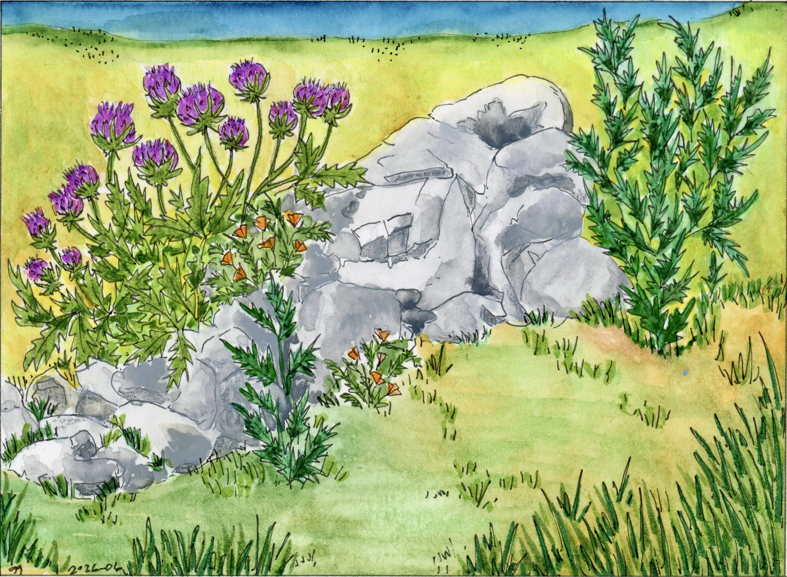 Dillion Point Wild Artichoke.jpg