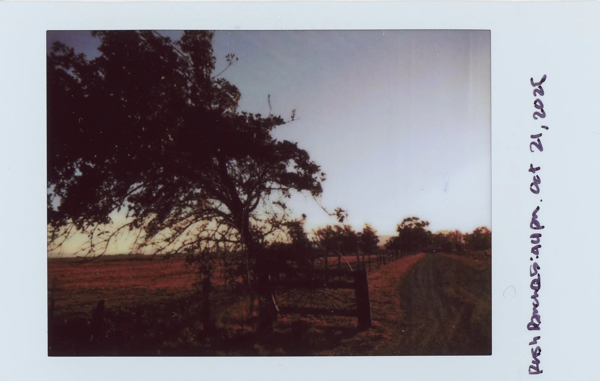 Instax0011 4.jpg