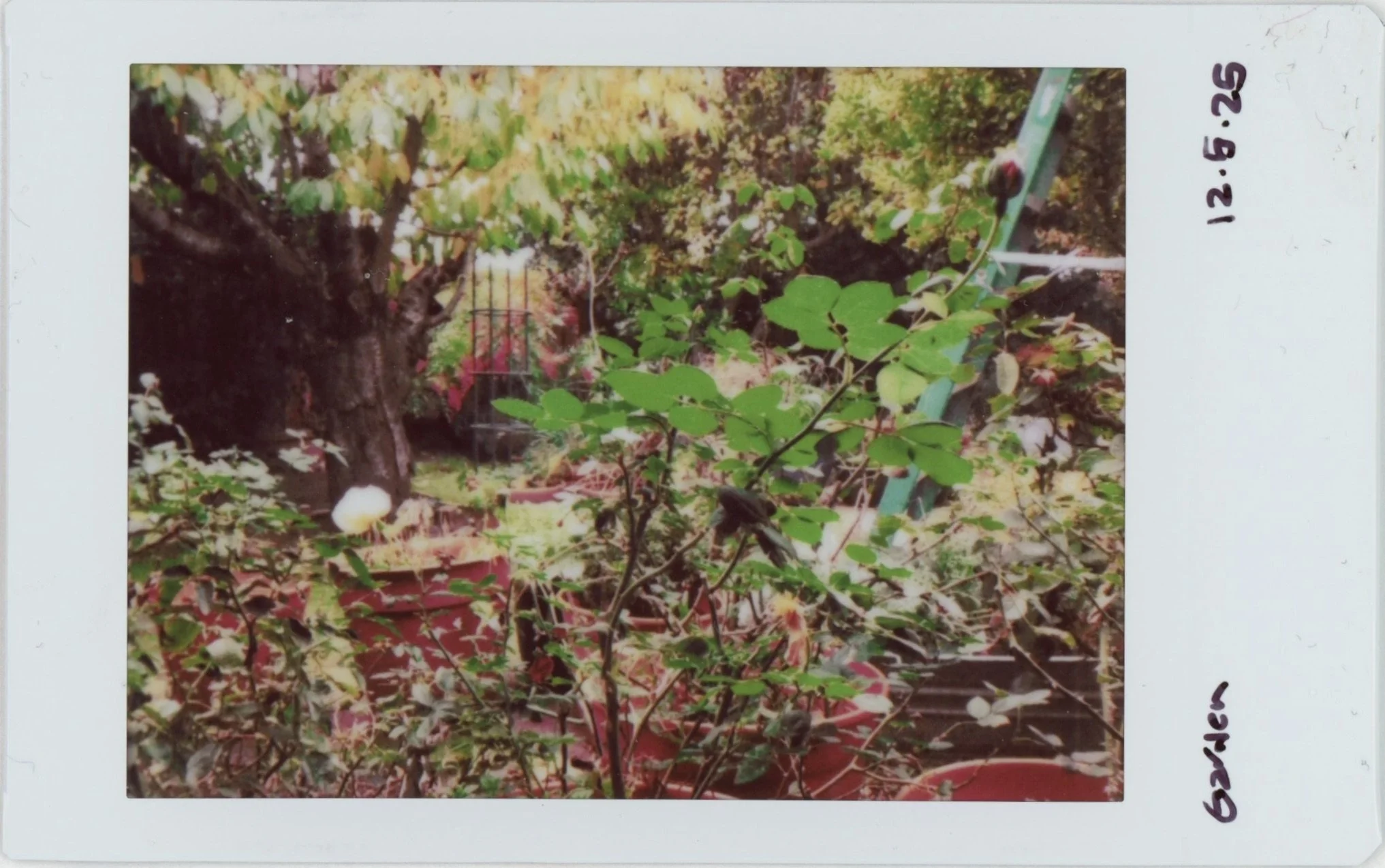 Dec Instax 1205.jpg