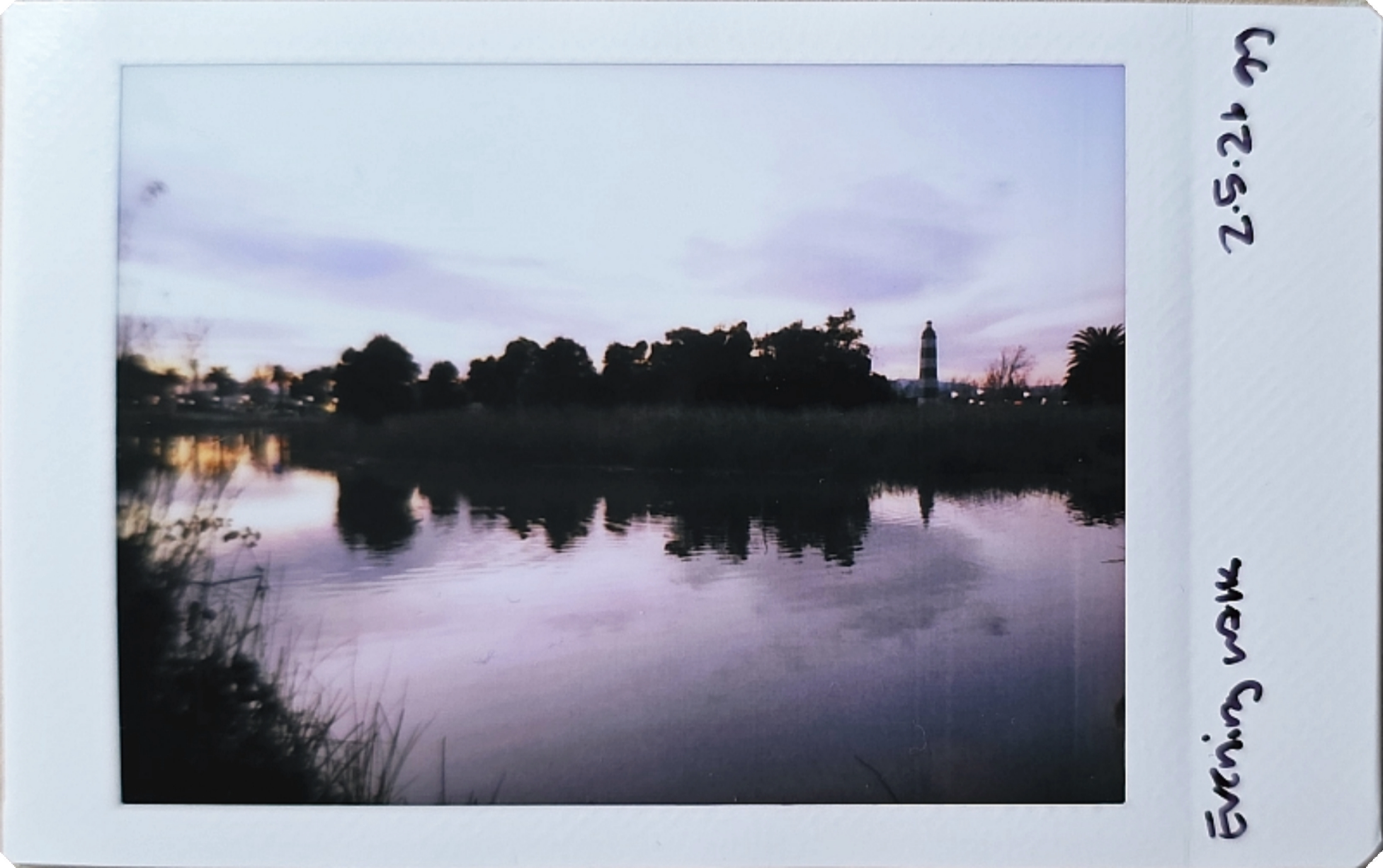 February 2026 Projects