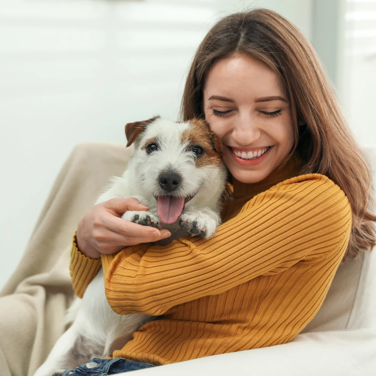dog-daycare-boarding-training-wellness-park-your-paws