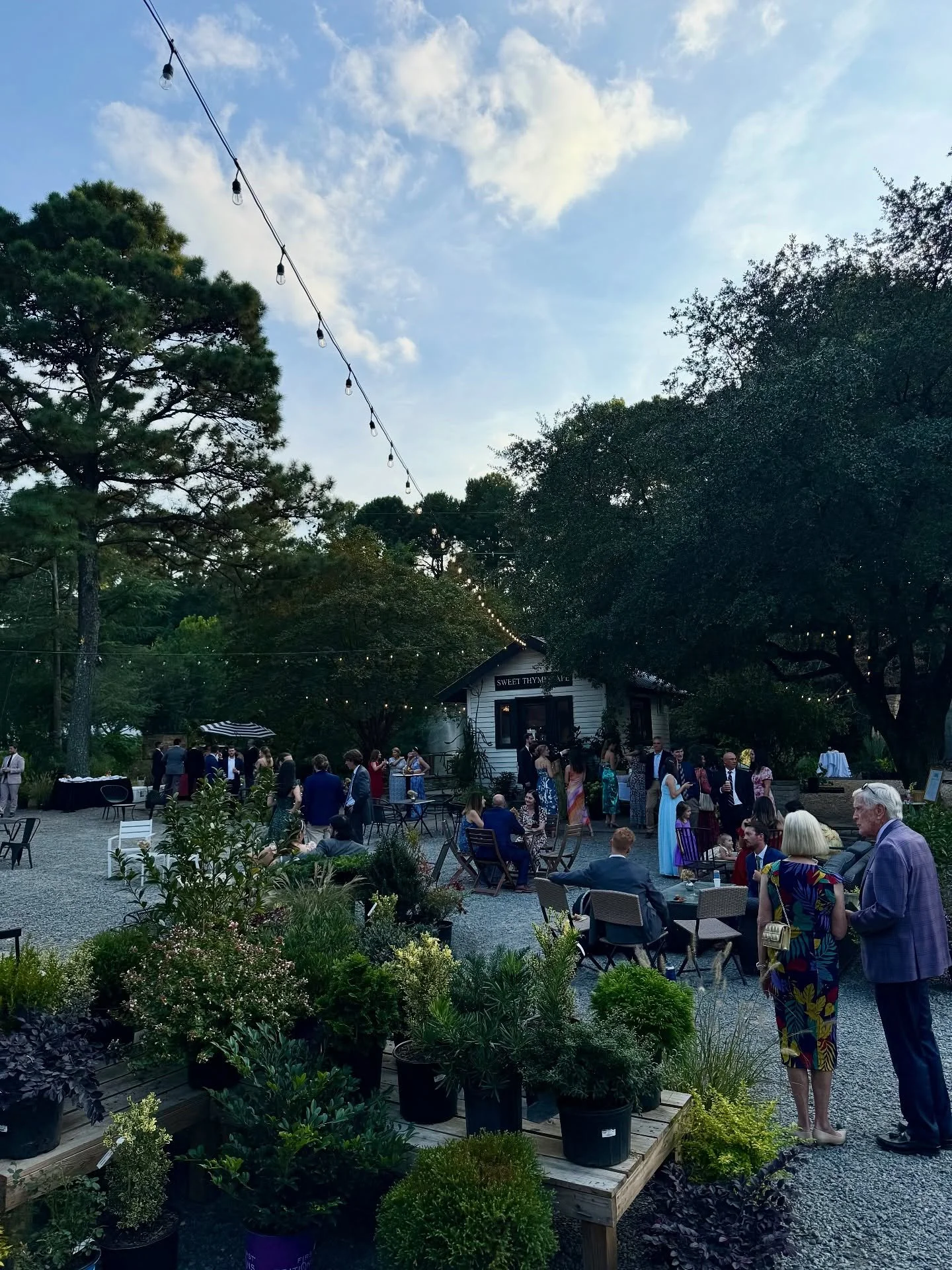 A New Chapter at Norwood Gardens 🌱

This past weekend we had the privilege of hosting our first wedding at Norwood Gardens. A luminous celebration surrounded by lush blooms and timeless garden beauty. 

Begin imagining your own unforgettable occasio