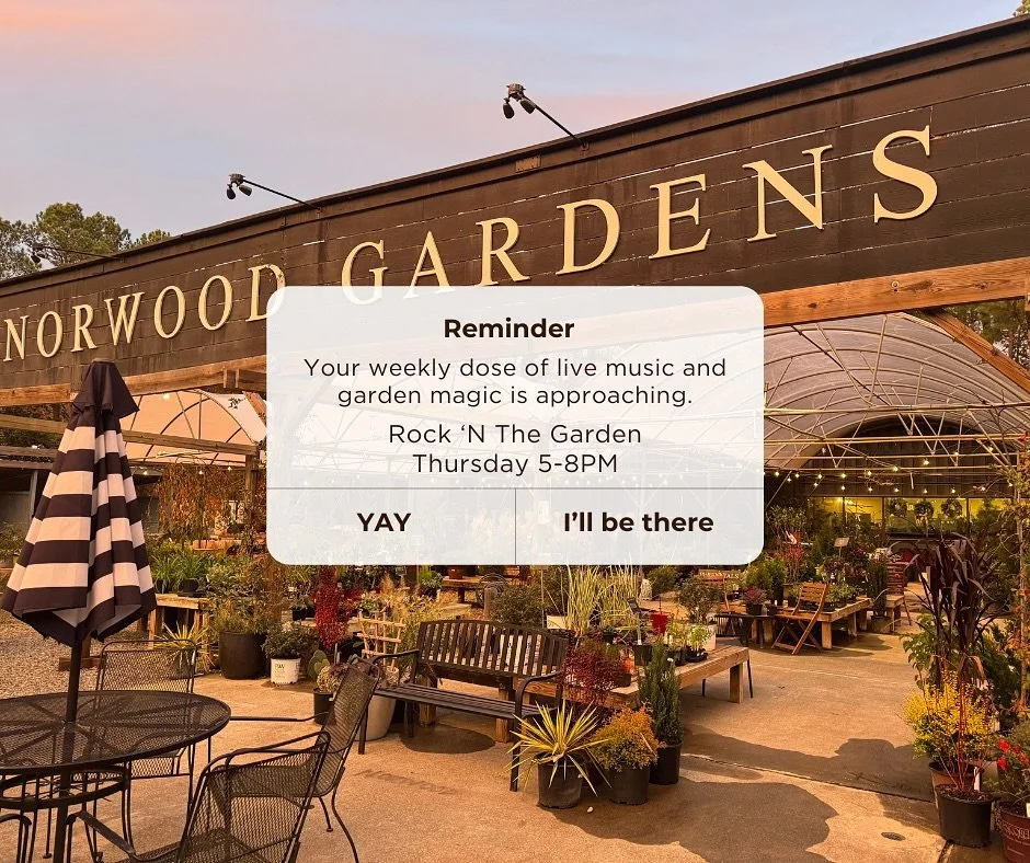 Just a friendly reminder!
Don’t miss out on Rock ‘N The Garden this week! 
Live Music | Food Trucks | Thursday 5-8PM
BYOB | $5 Entry per person 
Food Vendors this week: 
@ghostpepperindustries 
@tacosfriendly 
@thesweeteststate 
@sweeth