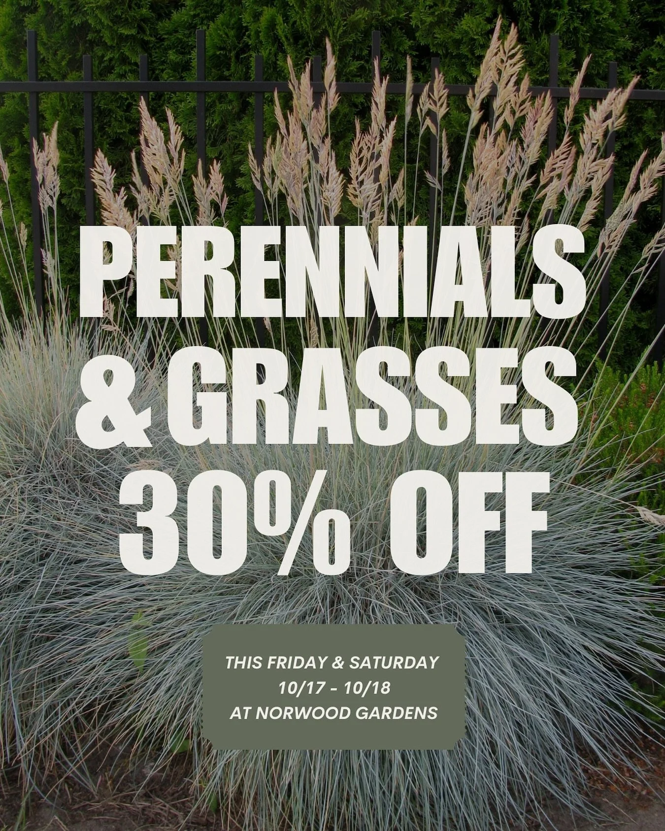 Come shop this weekend! 
Perennials & Grasses 30% OFF
@sweethymecafe Open Friday & Saturday 9AM-2PM
@ghostpepperindustries Serving breakfast by the cafe 9AM-12PM
@kerrylongmusic Playing live music 10AM-12PM