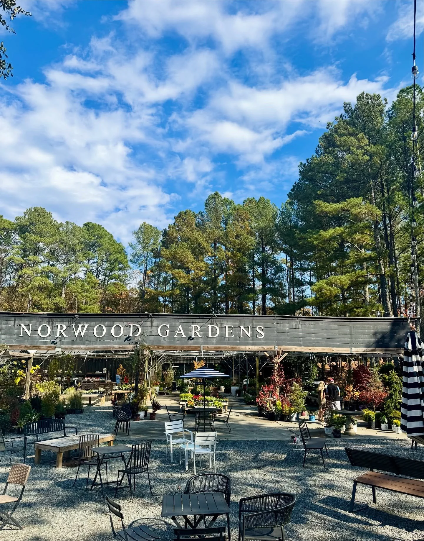 Step inside and take a closer look at all the holiday treasures ✨

Swipe through to see some of our favorite seasonal goodies, gift ideas, and cozy touches. 

Join us for our Holiday Market on November 15th, 4&ndash;8 PM here at Norwood Gardens with 