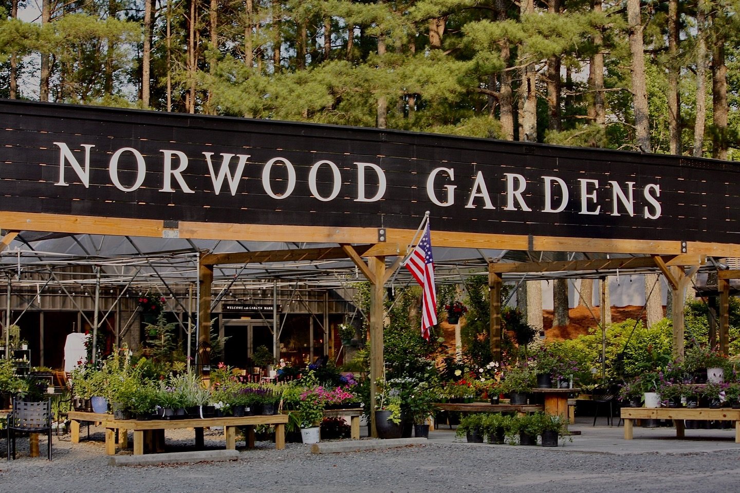 This Veterans Day, we would like to take a moment to honor and remember the courage, sacrifice, and service of all who have worn our nation&rsquo;s uniform.

From all of us at Norwood Gardens, thank you, veterans, for protecting the freedoms we cheri