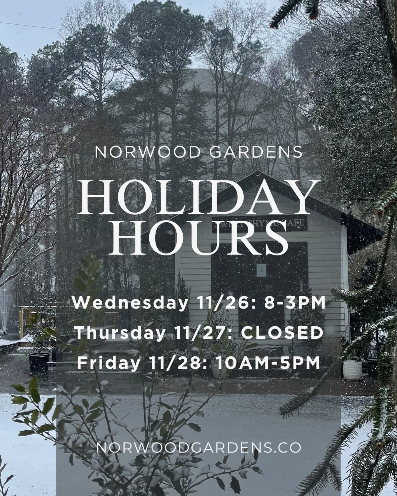 We&rsquo;ll be open limited hours this week so our team can enjoy time with their families 🤍

Monday &amp; Tuesday: Open regular hours 8AM-5PM 

We can&rsquo;t wait to celebrate the season with you at Norwood ✨