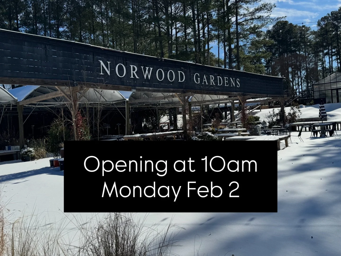 We still have road salt in bags and bulk!  See you at 10 am!

#winterweather #digwhereyoulive #snowday #salt