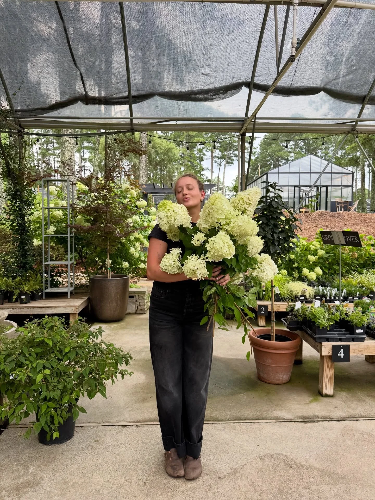 Spring is almost here and Norwood is waking up.

The light feels softer.
The greenhouse hums a little louder.
Fresh arrivals fill the tables.
Coffee waits at Sweet Thyme Cafe.

Longer days are coming. 
We can feel it.

Come wander the garden. 💚

Roo