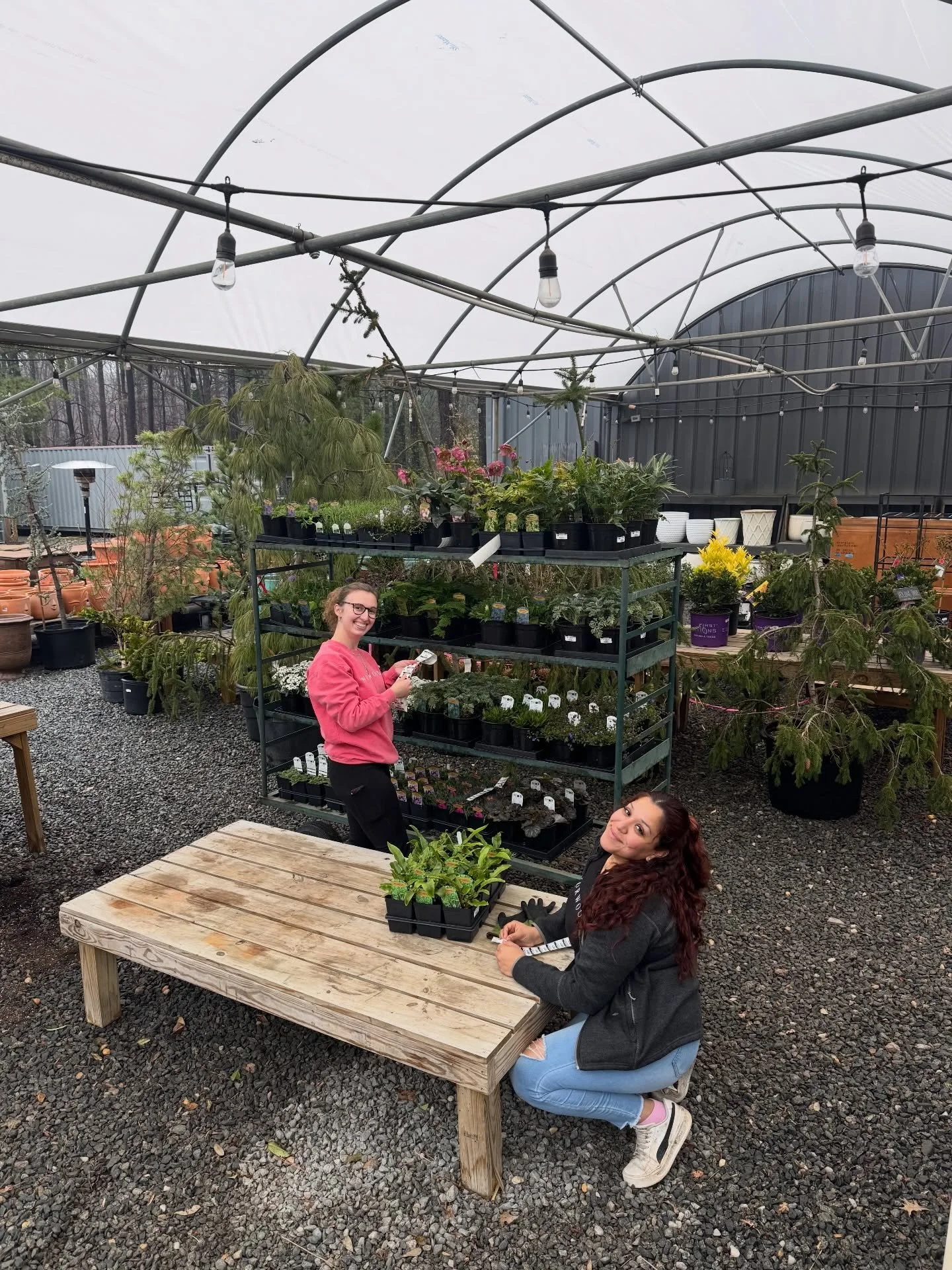 I think I like this little life.
Where Friday and Saturdays mean coffee and plants.☕️🌷
Where events happen under the trees.✨
Where we all grow something together. 🌱

#norwoodgardens #plantlocal #digwhereyoulive #shoplocal #weloveourcommunity❤️