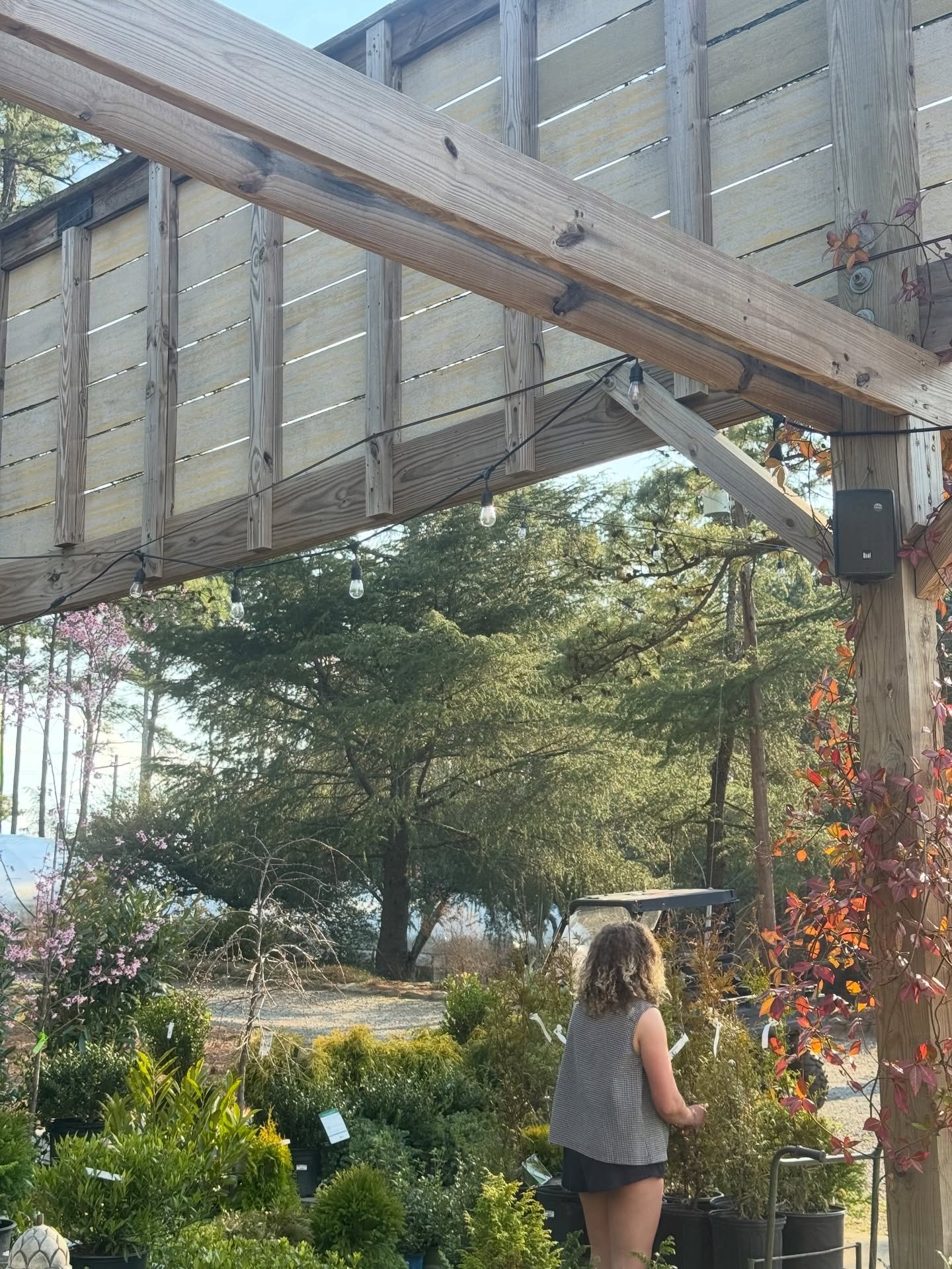 The garden is putting on a show 🌸🌿🌼
Take a look around&hellip; how many colors can you count?

#norwoodgardens #digwhereyoulive #plantlocal #springtime #shoplocal