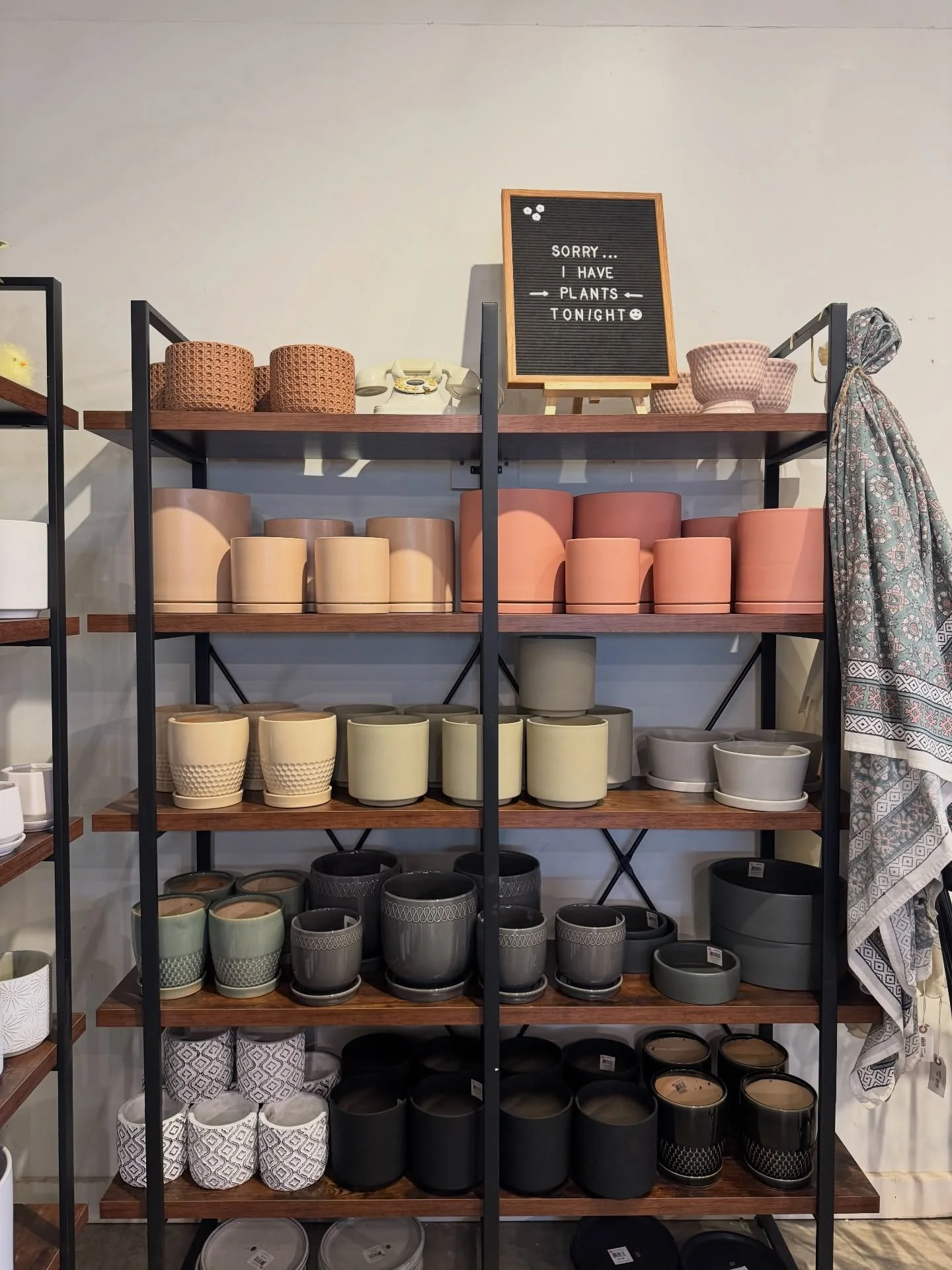 New indoor pottery just landed and we&rsquo;re kind of obsessed!!
Perfect homes for your next plant (or the one you probably didn&rsquo;t plan on buying)

#norwoodgardens #digwhereyoulive #plantlocal #indoorpottery #shopraleigh