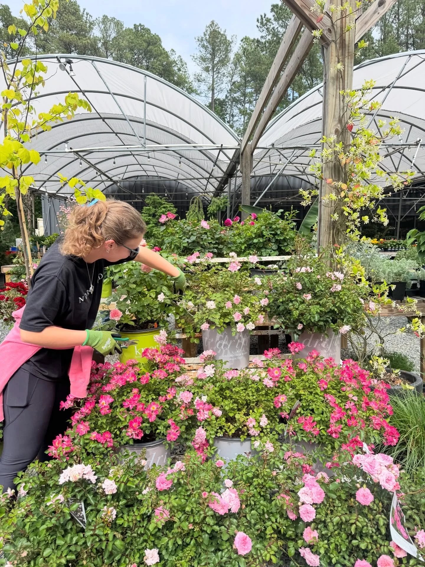Spring is just so sweet🌸 Enjoy the photo dump!

#norwoodgardens #digwhereyoulive #plantlocal #shoplocal #springgardening