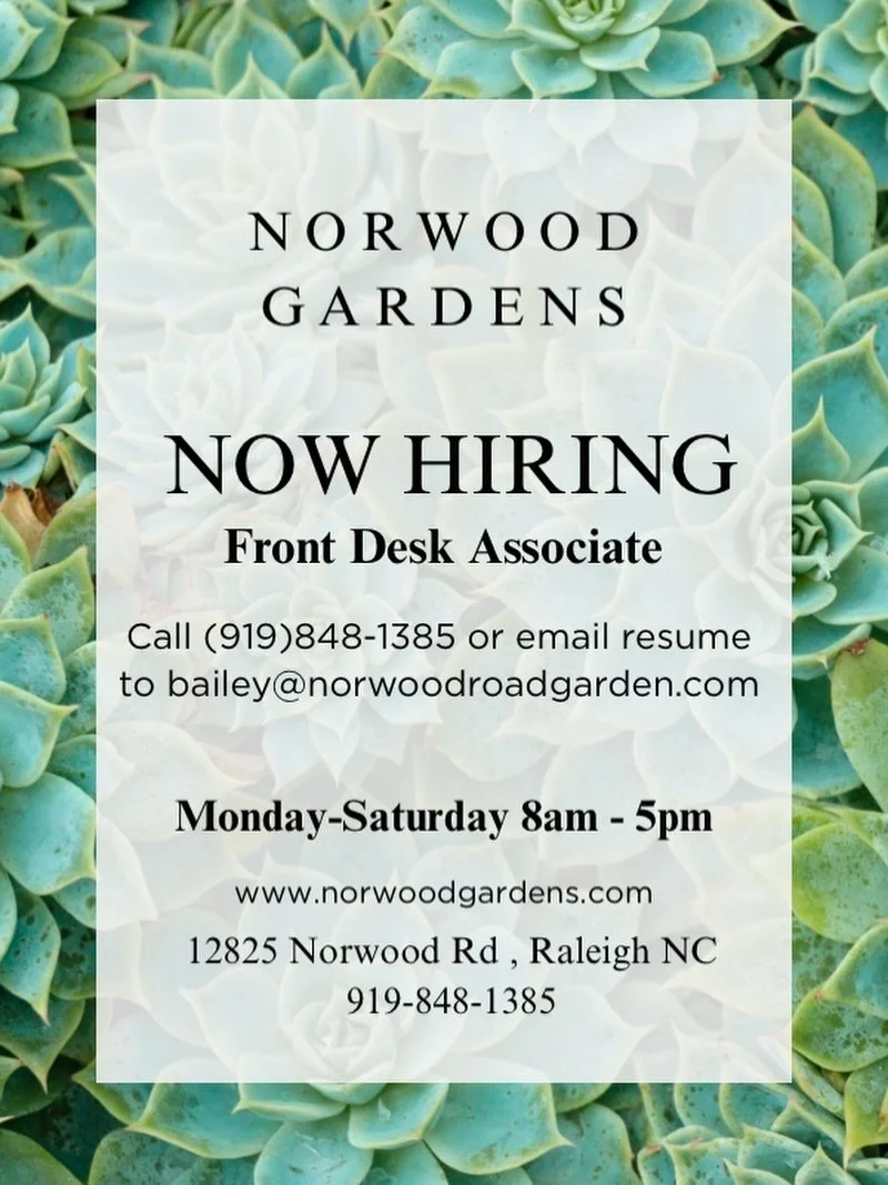Want to join the team? WE ARE HIRING! 🌱

If you love plants, people and a little extra variety in your day? Join our team here at Norwood Gardens!

Apply in person or email your resume to bailey@norwoodroadgarden.com

Daily Tasks:
-Greeting/Assistin