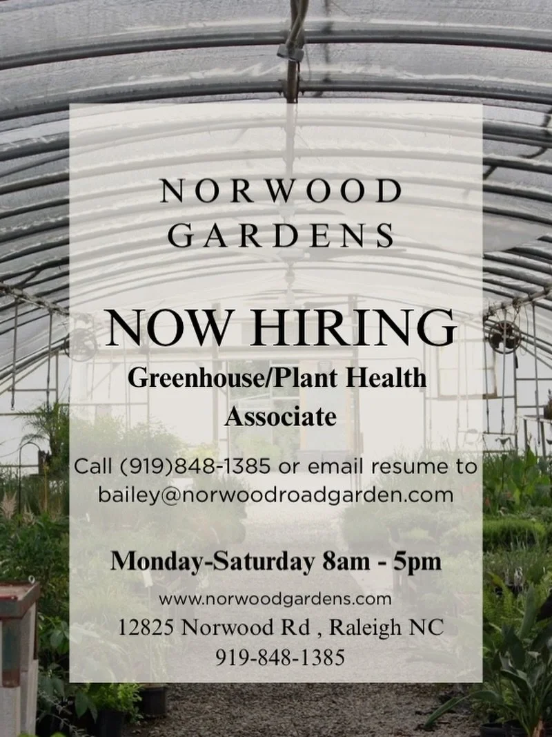 Want to join the team? WE ARE HIRING! 🌱

Apply in person or email your resume to bailey@norwoodroadgarden.com

Daily Tasks:
-Oversee All Property Plant Health
-Maintain Greenhouse Appearances 
-Assist With Watering 
-Maintain Onsite Irrigation/Drip 