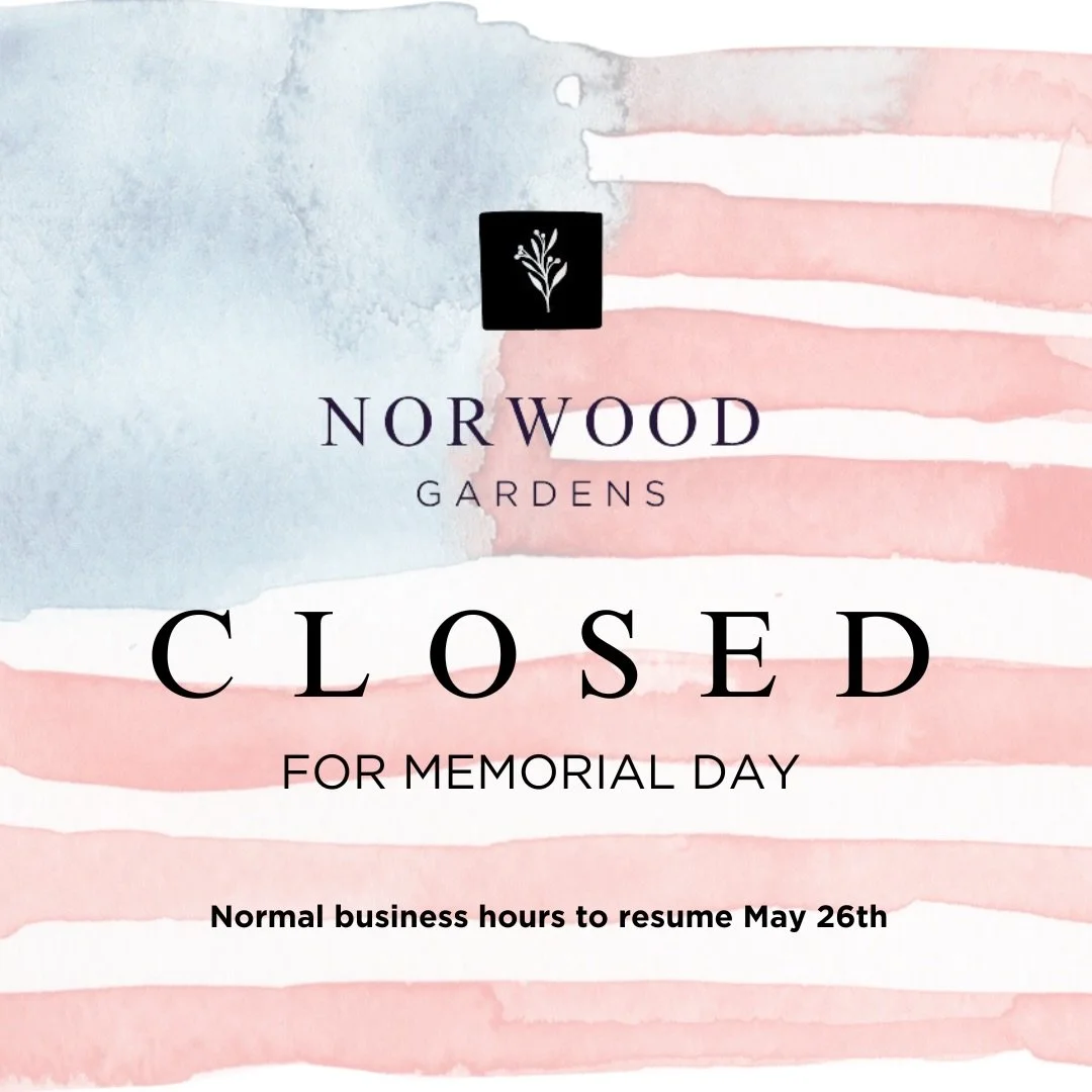 Norwood Gardens will be closed for Memorial Day. We will reopen May 26 with normal business hours. Have a safe holiday weekend!

#digwhereyoulive #shoplocal #norwoodgardens #memorialday🇺🇸 #plantlocal