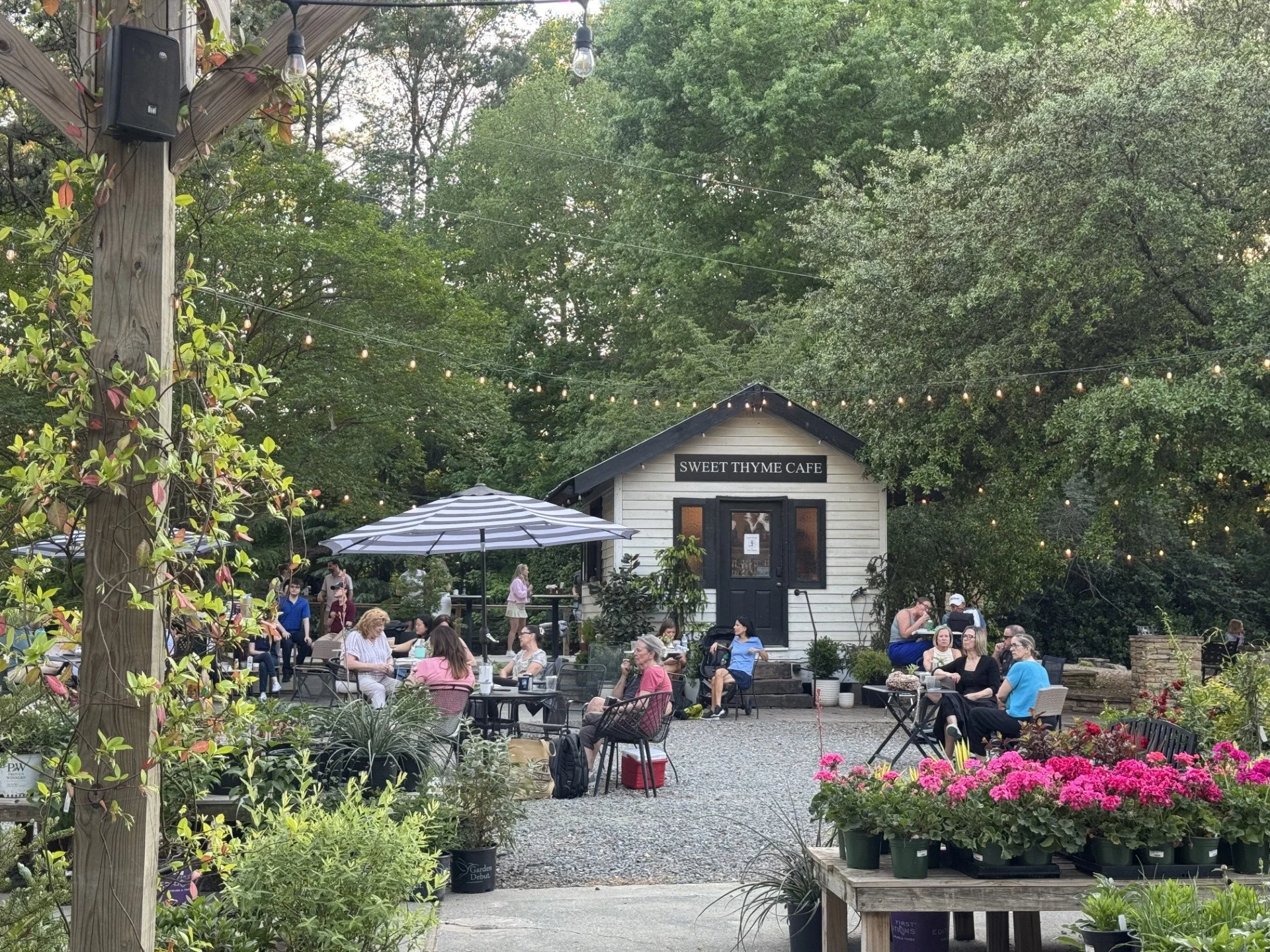 Rock 'N The Garden