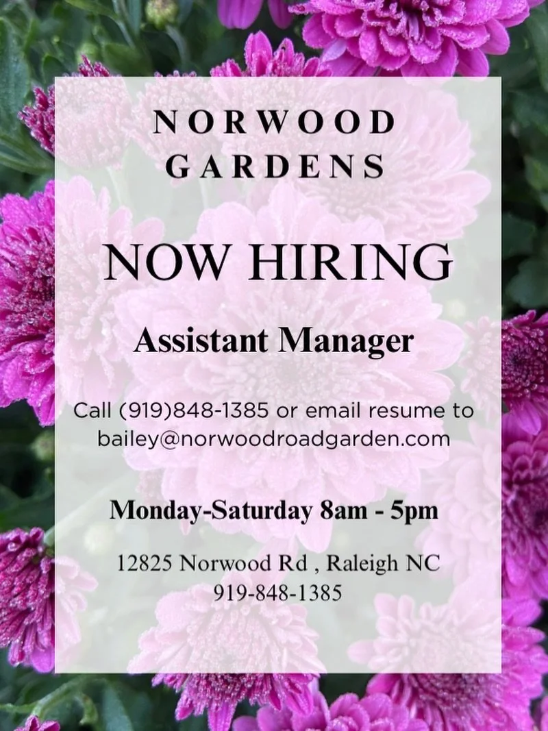 ⭐️NOW HIRING ASSISTANT MANAGER⭐️

We are looking for an individual to work alongside our current manager! Ideally this person will have management experience, a variety of skill sets, some plant knowledge, and great energy. Please email resumes to ba