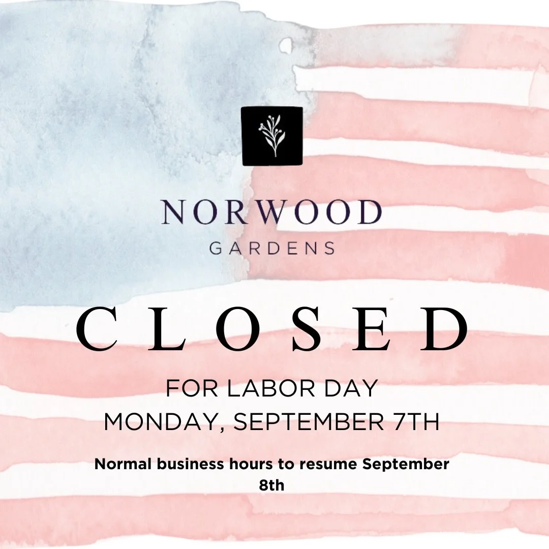 CLOSED LABOR DAY🇺🇸
MONDAY SEPTEMBER 7th

Normal hours resume Tuesday September 8th 8-5pm

#closedforlaborday #norwoodgardens #digwhereyoulive #shoplocal #labordayweekend