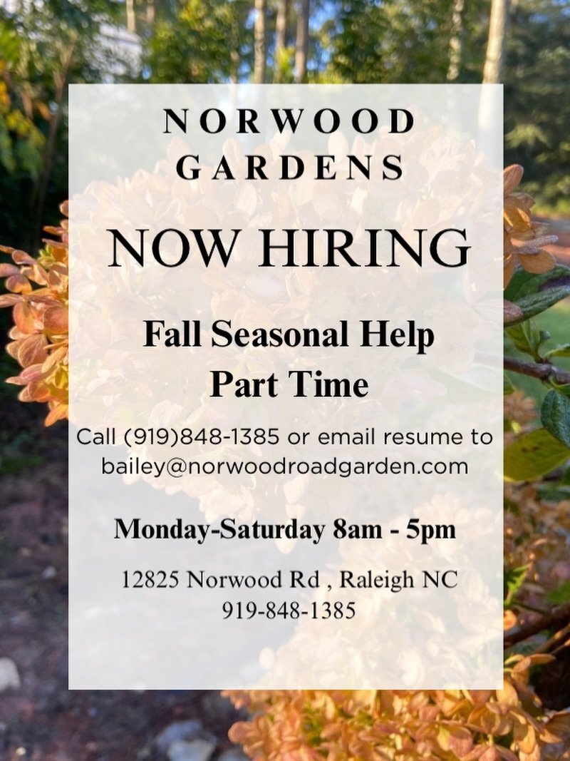 IT&rsquo;SSS TIMEE🍂

As we head back into our busy season we are looking to hire a few energetic and motivated individuals who love being around plants and people! This position includes, but is not limited to, tasks such as unloading plant orders, 