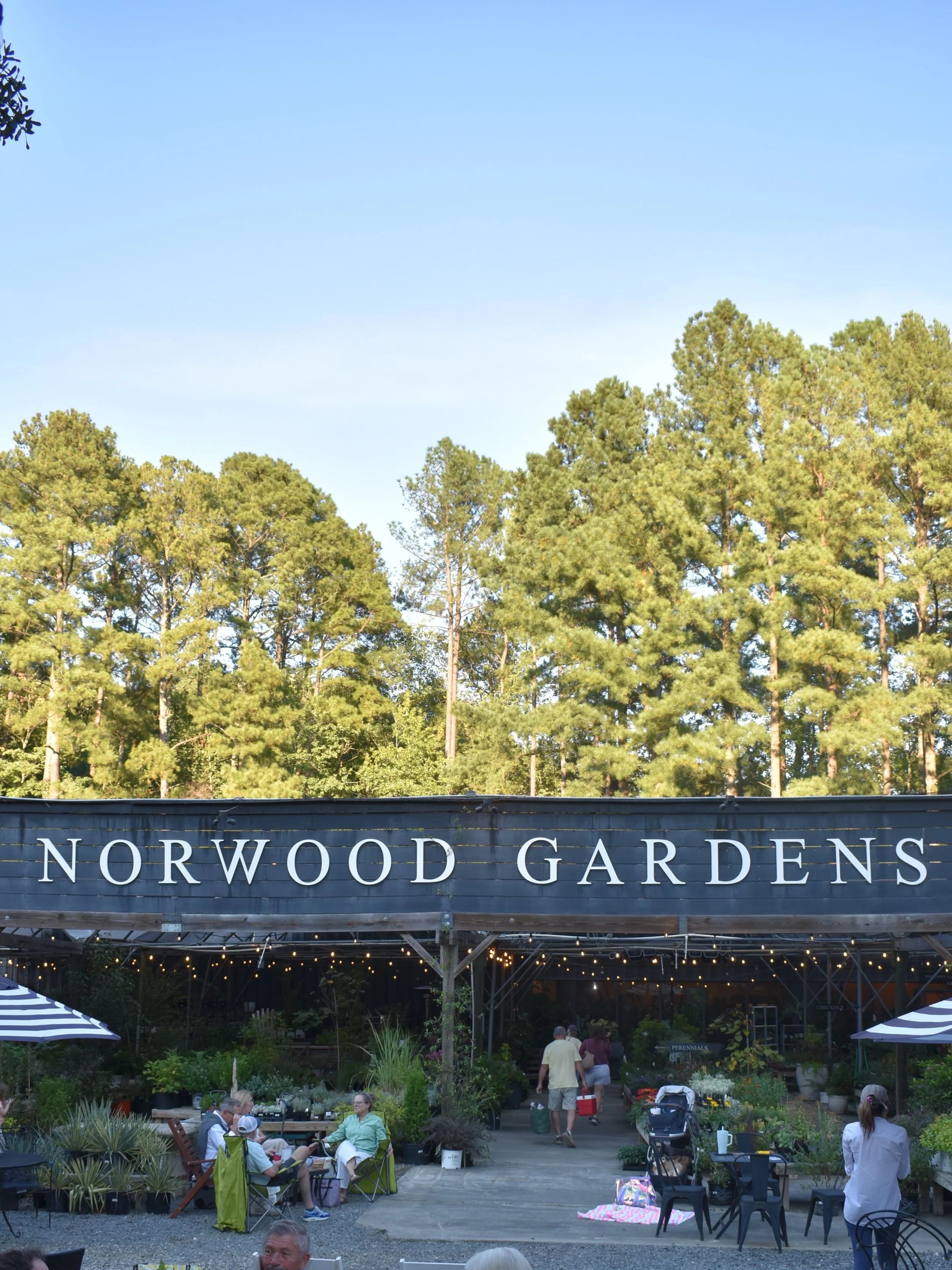 Loved how sweet last night&rsquo;s Rock N the Garden was! Thank you to everyone who came out and for our local vendors. Every Thursday night from 5-8pm until the end of October! 

@adornedbyallie.nc 
@harrysraleigh 
@figandfleurcart 
@johnpipermusic 