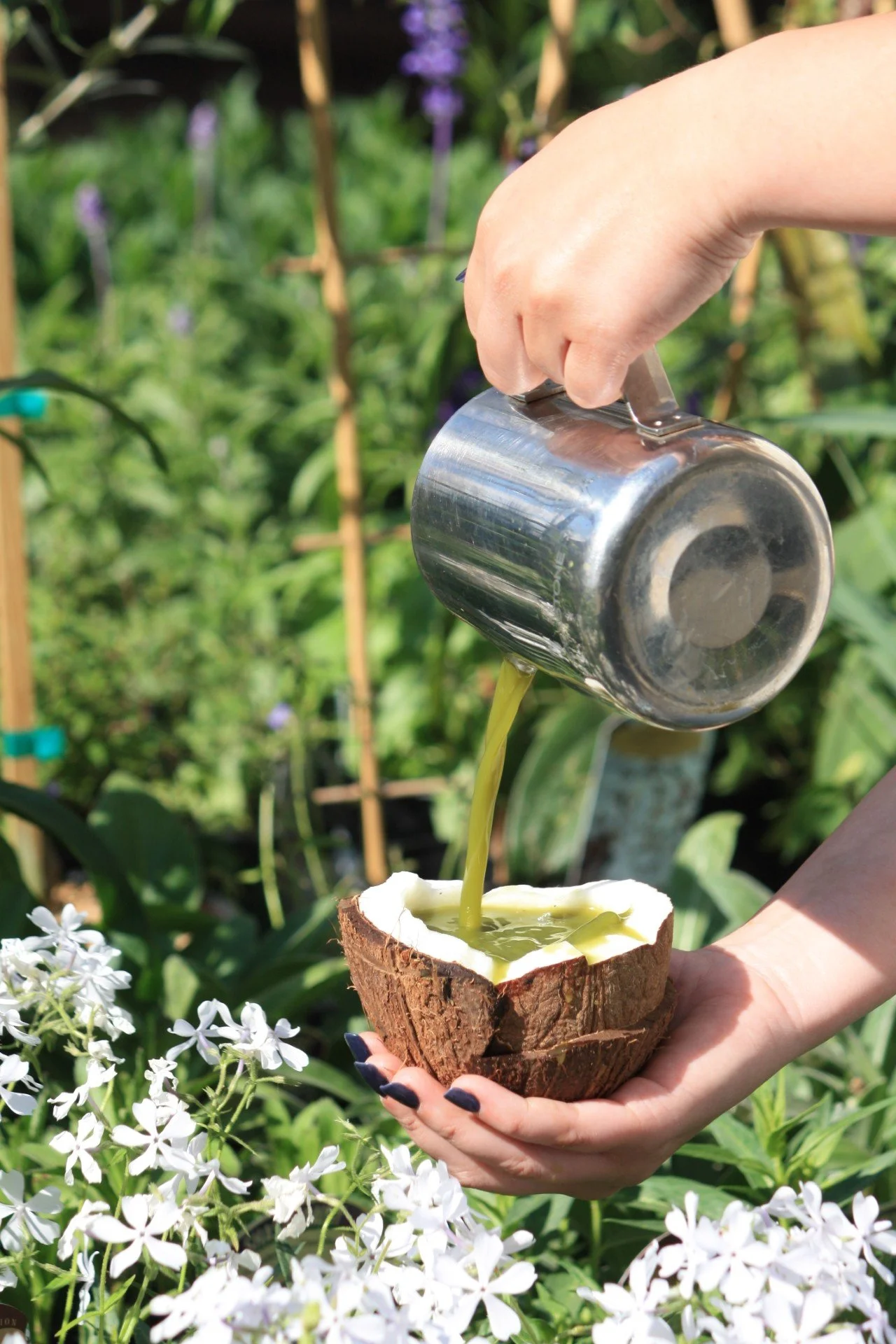 Coconut Pour Cafe.jpg
