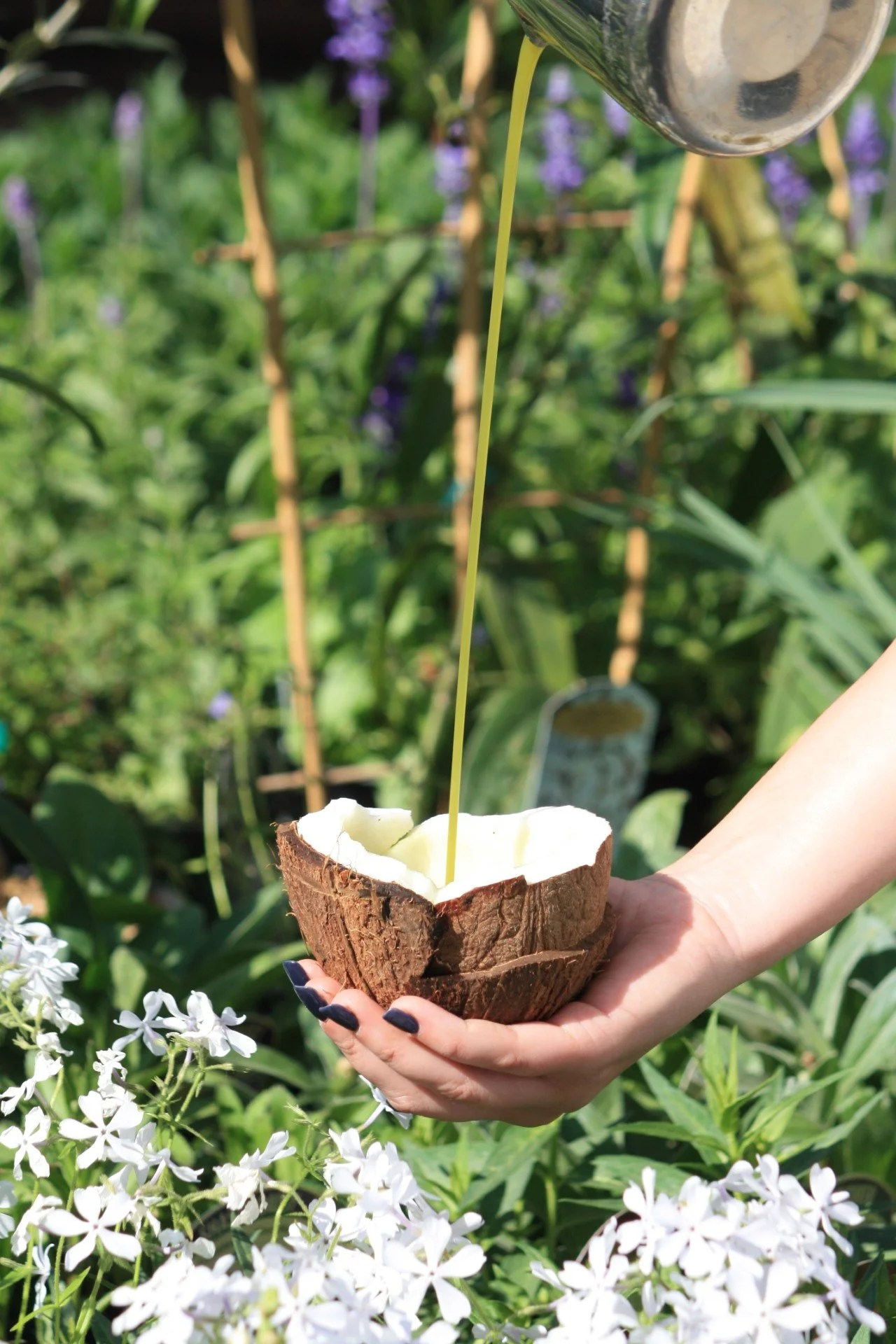 Coconut pour cafe 2.jpg