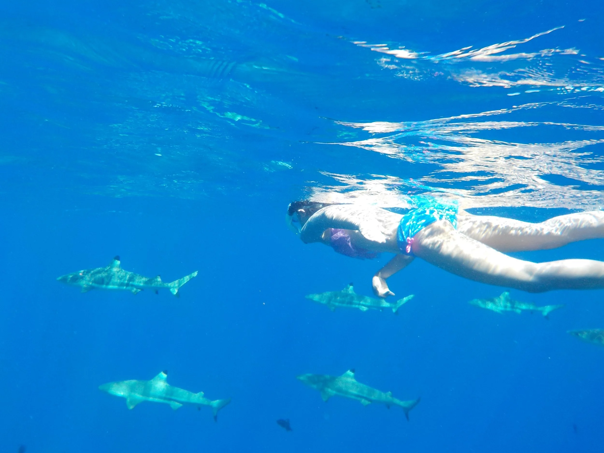 Highlights (543).JPG