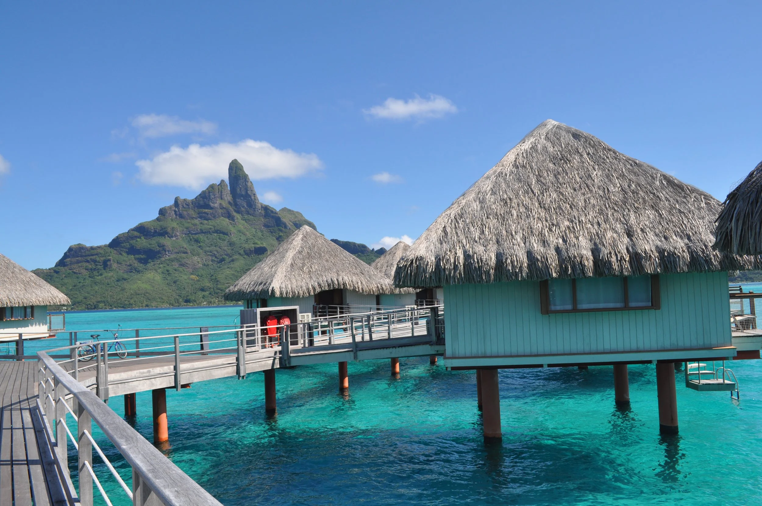 Highlights (151).JPG