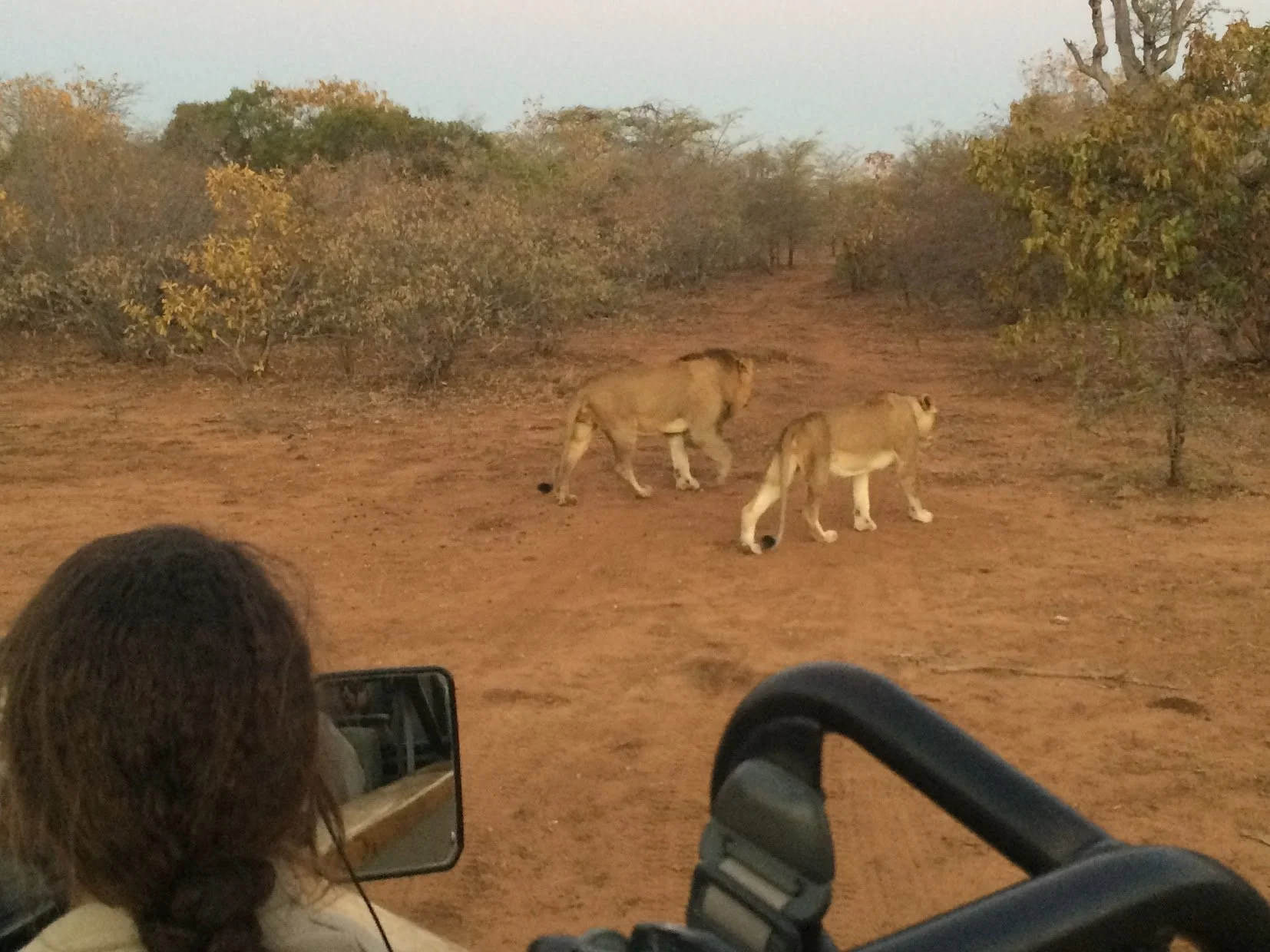 Highlights (406).JPG