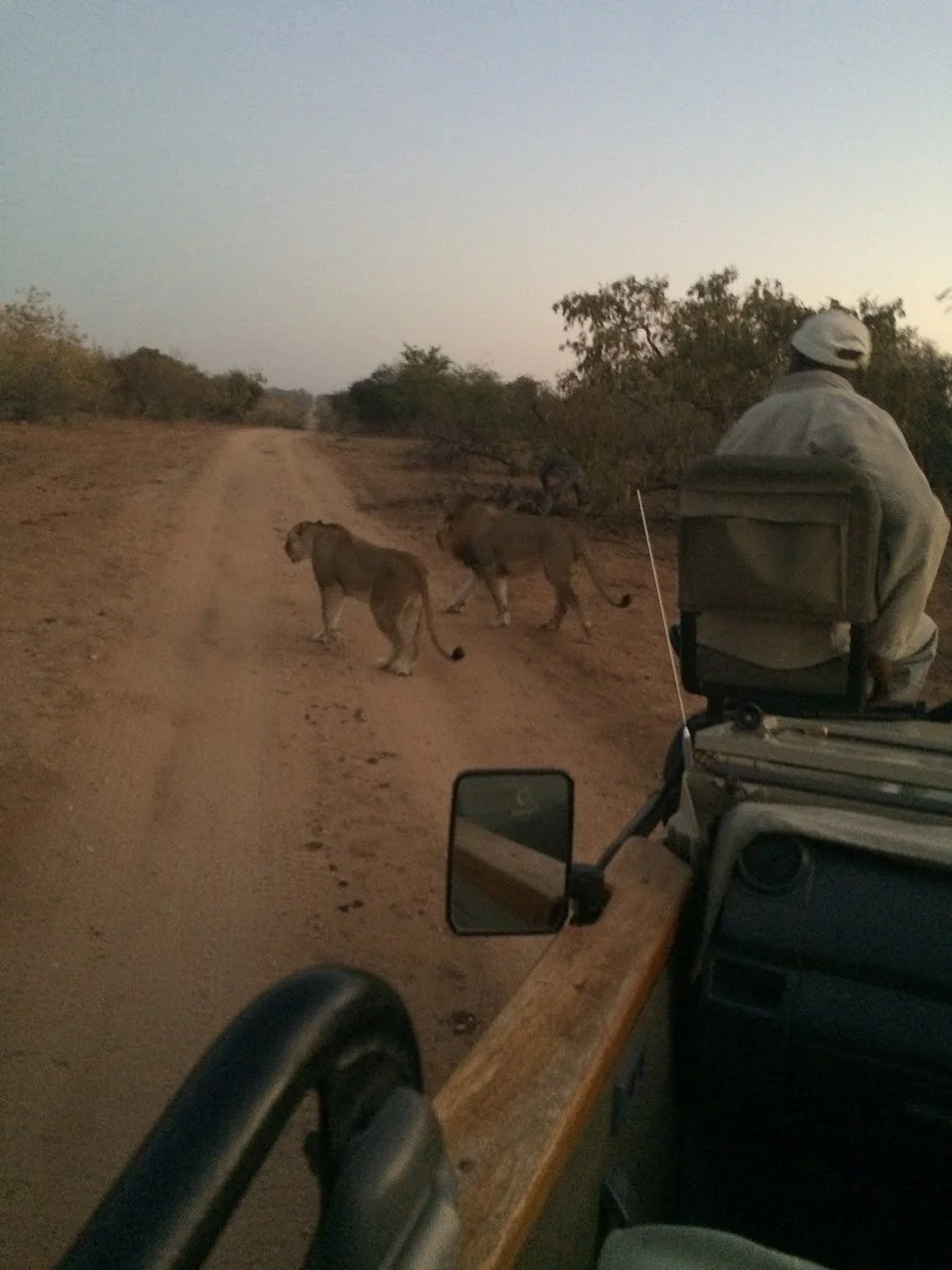 Highlights (438).JPG