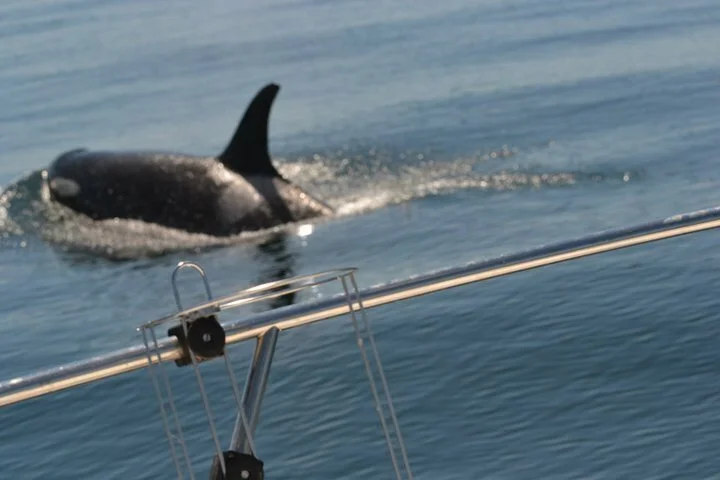 Fall 2018 2018-08-21 006.JPG