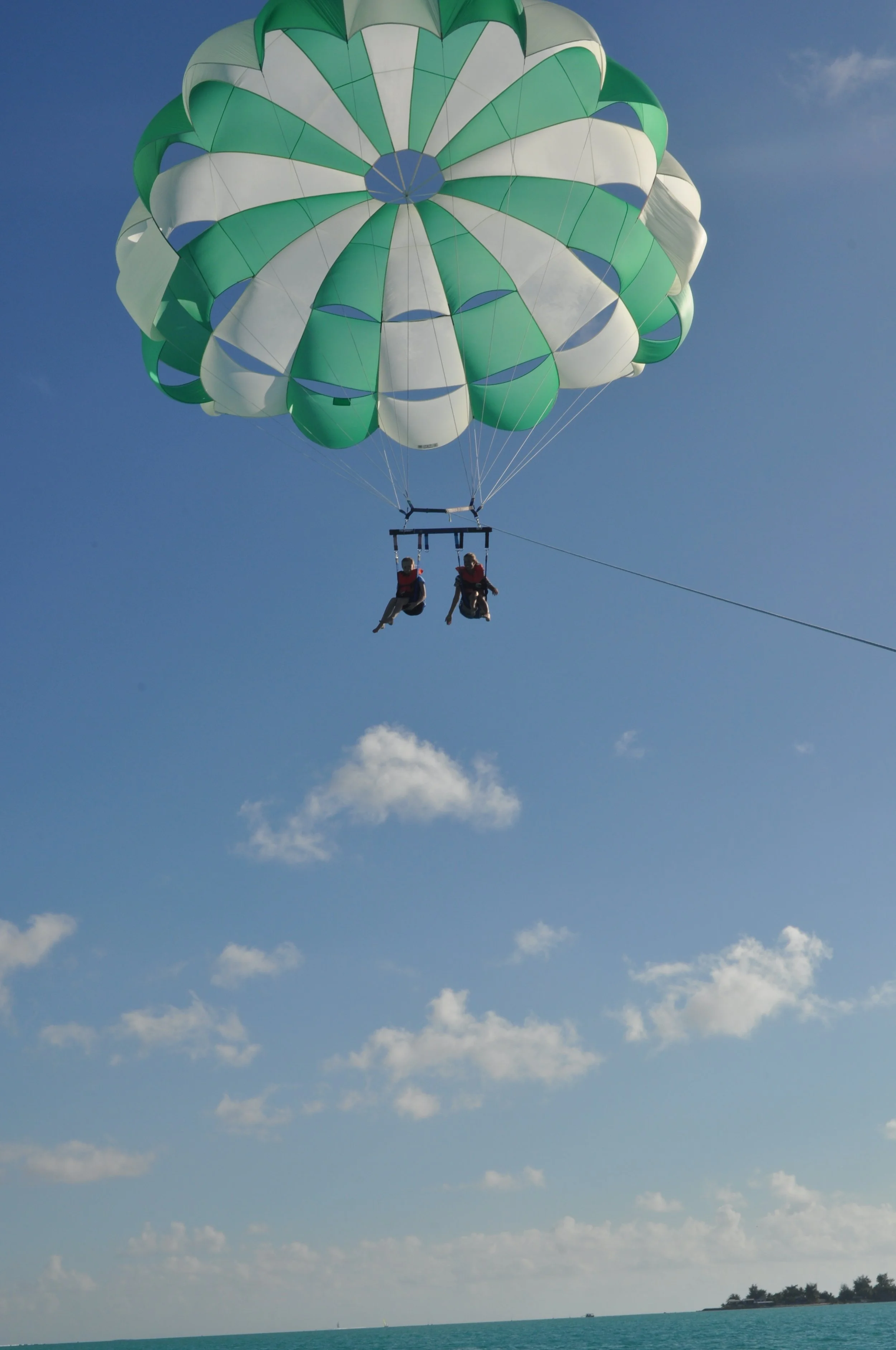 Highlights (313).JPG