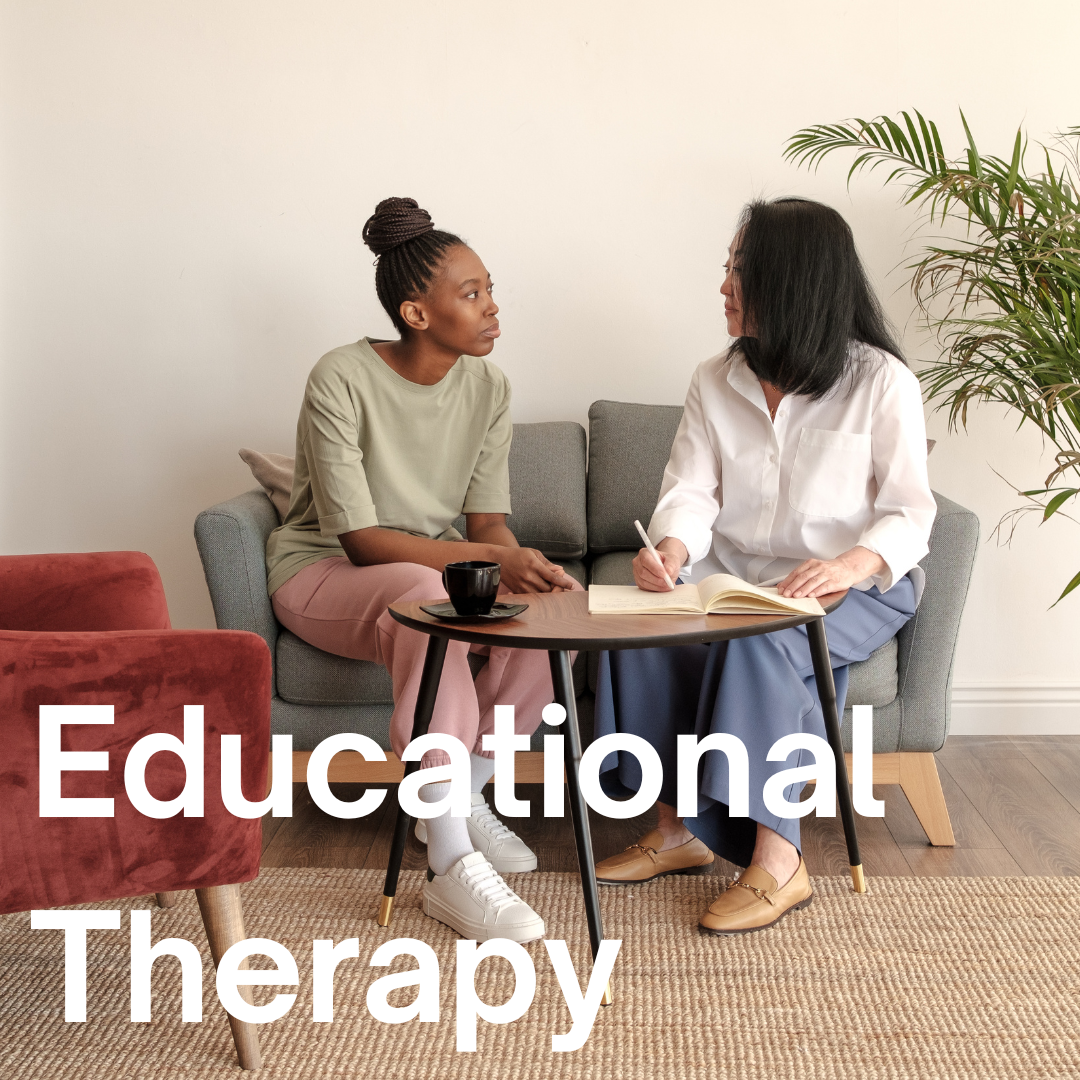 College student speaks with educational therapist