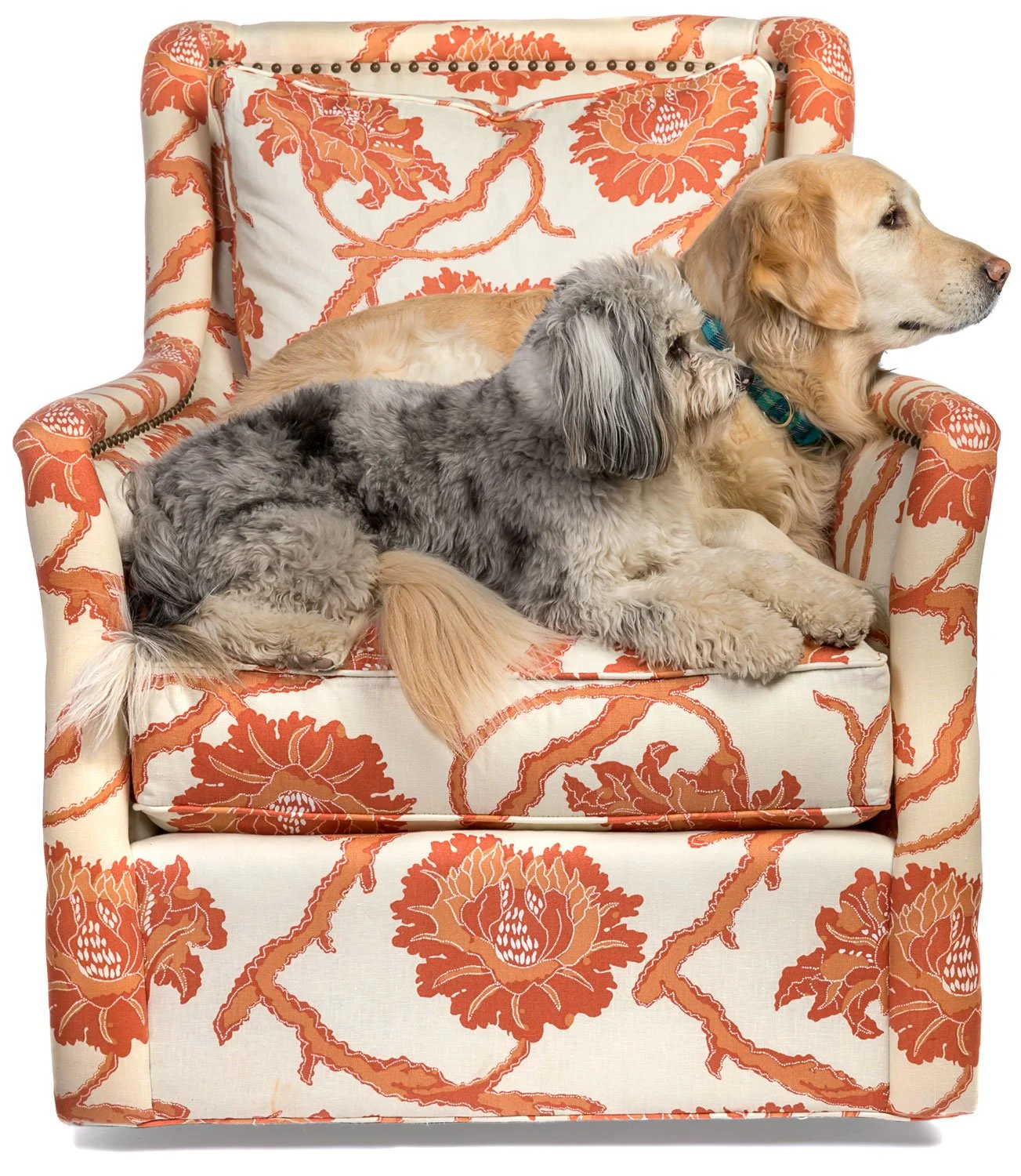 Asheville NC Furniture Store Yesterday's Tree Furniture