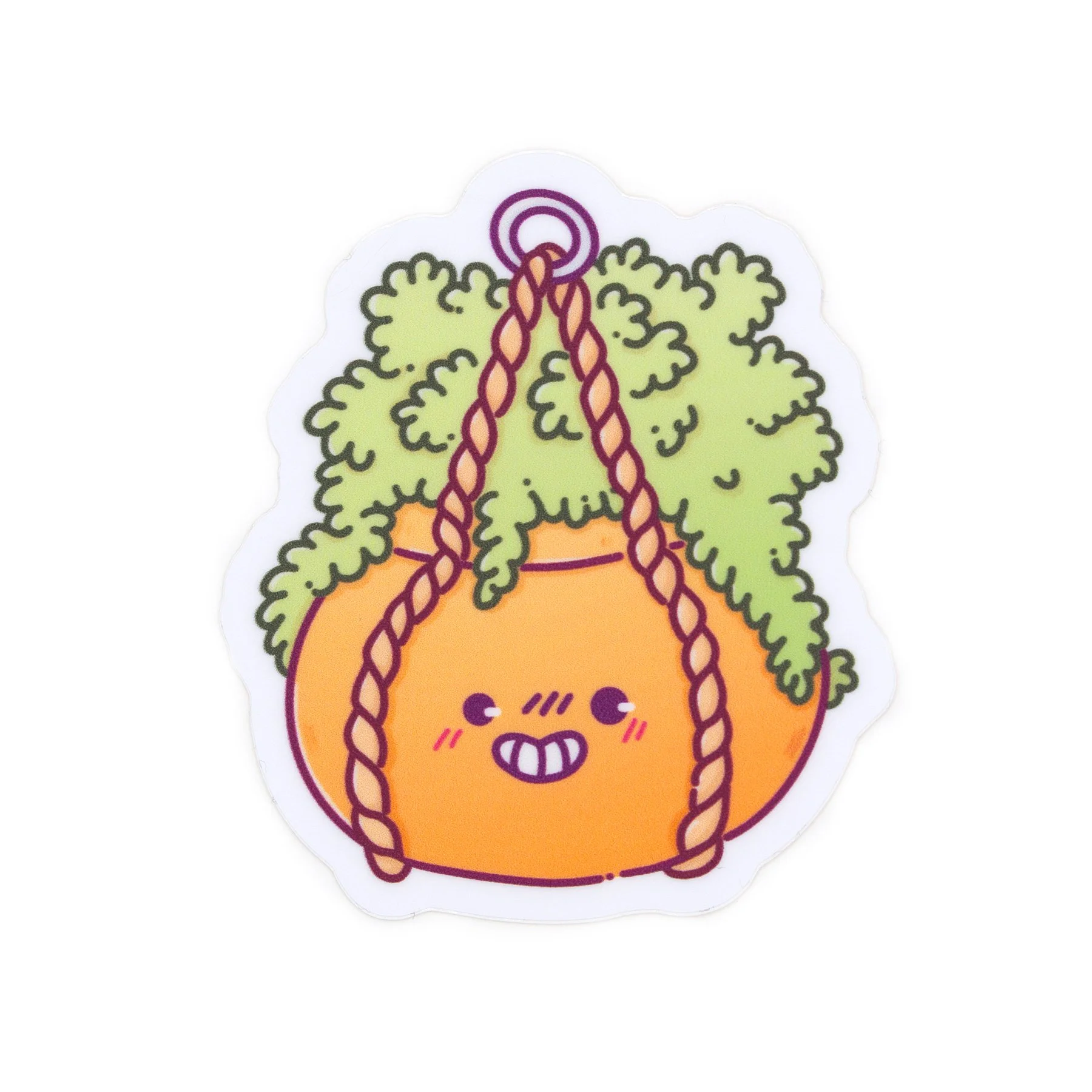 Hanging Plant Matte Vinyl Sticker