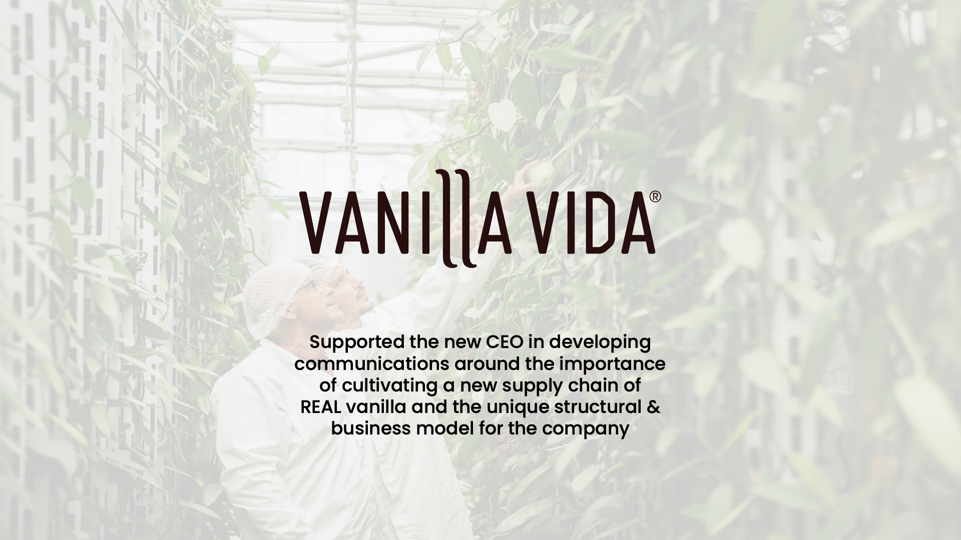 Vanilla Vida.png