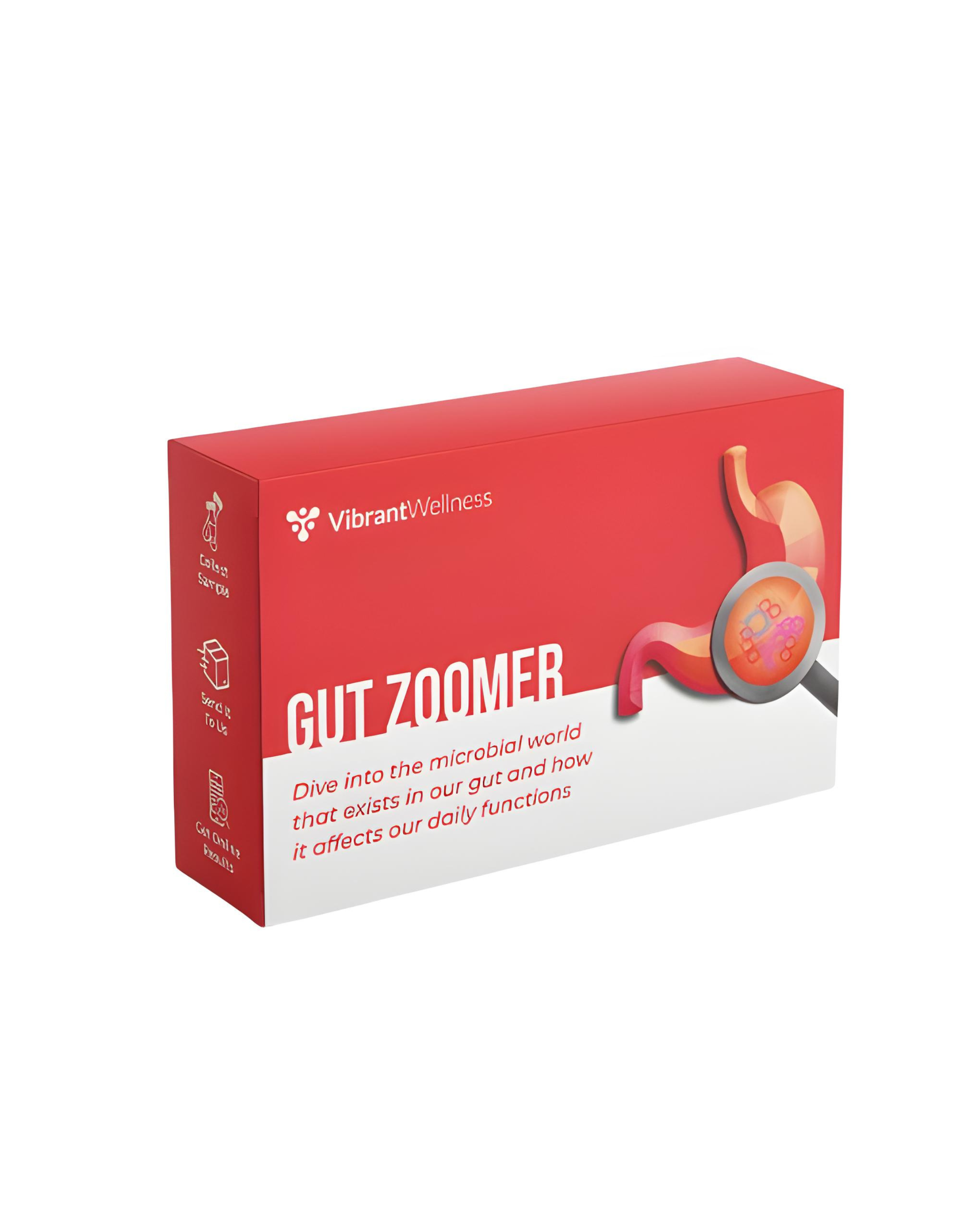 Red box packaging for Vibrant Wellness Gut Zoomer probiotic supplement with graphic of stomach and digestive bacteria