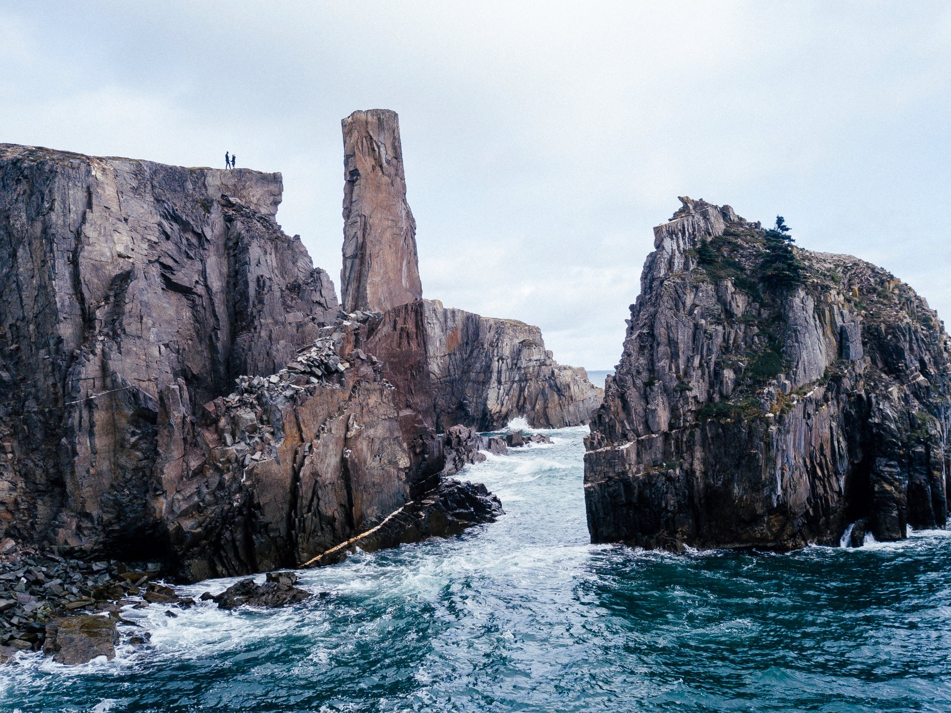 Newfoundland_Color_1.jpeg