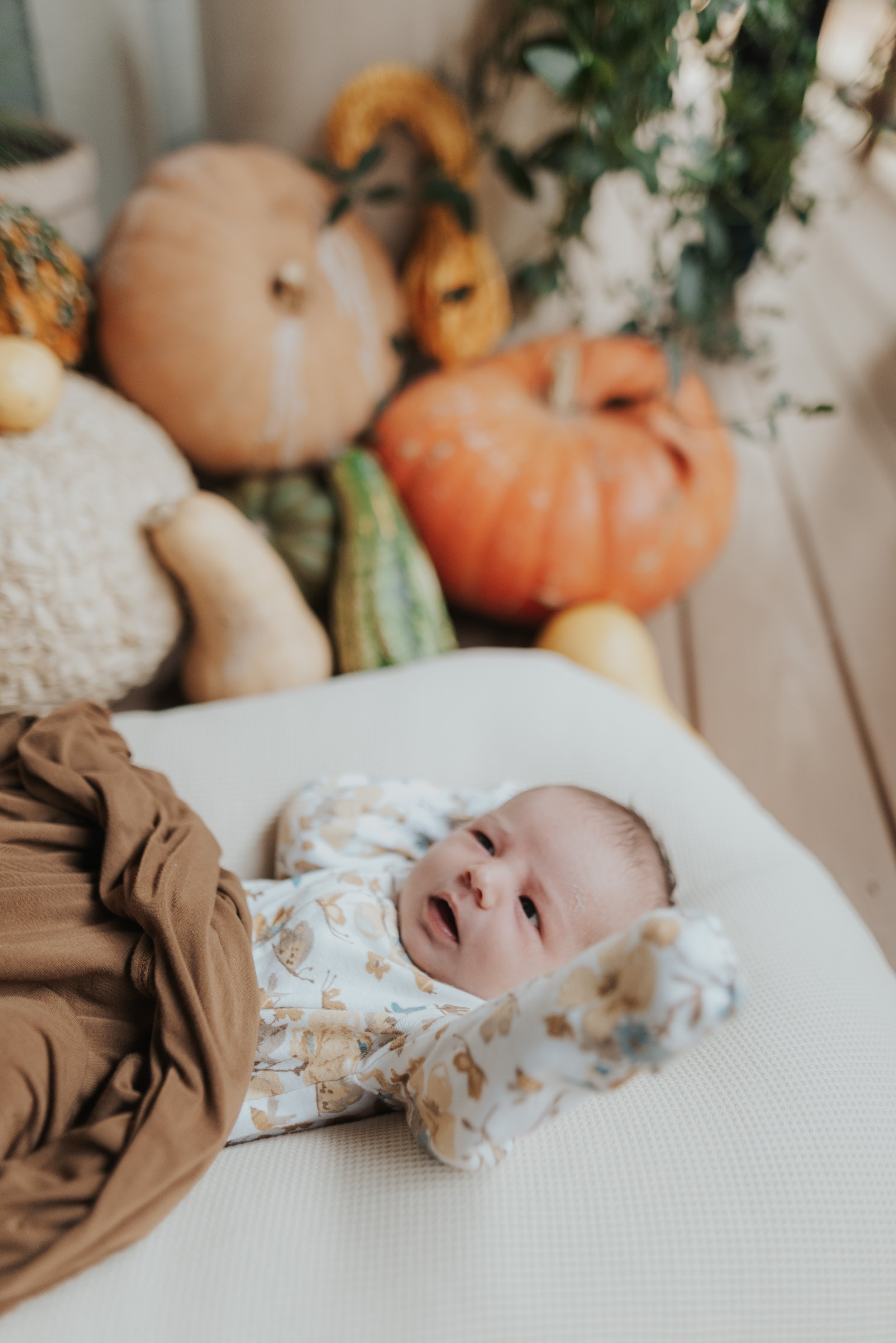 Kings Newborn-10.jpg